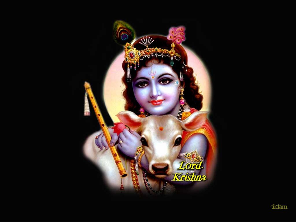 1024x768 Krishna Adisesha Appeared in The Sky ?