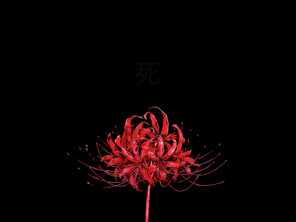 1024x768 Higanbana [1920x1080]