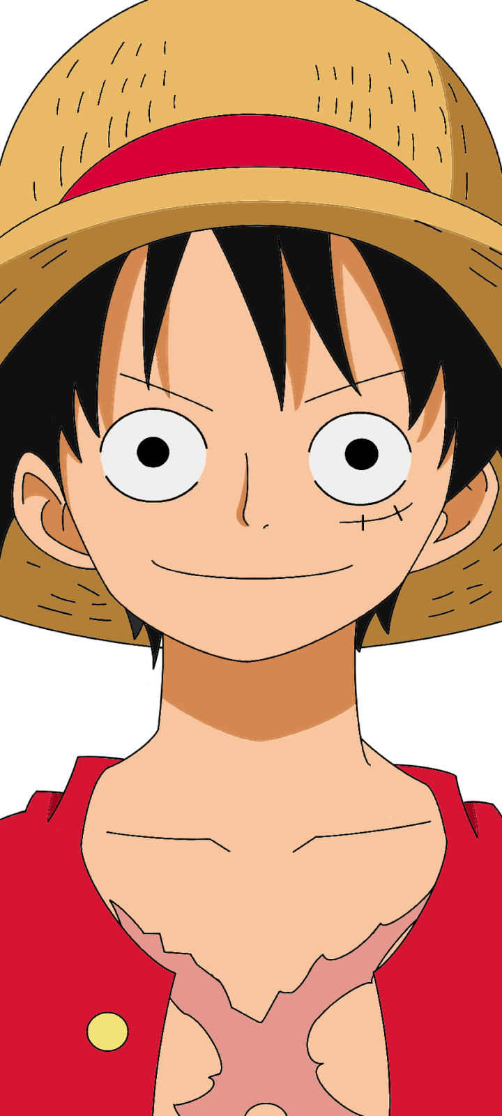 720x1600 Anime One Piece