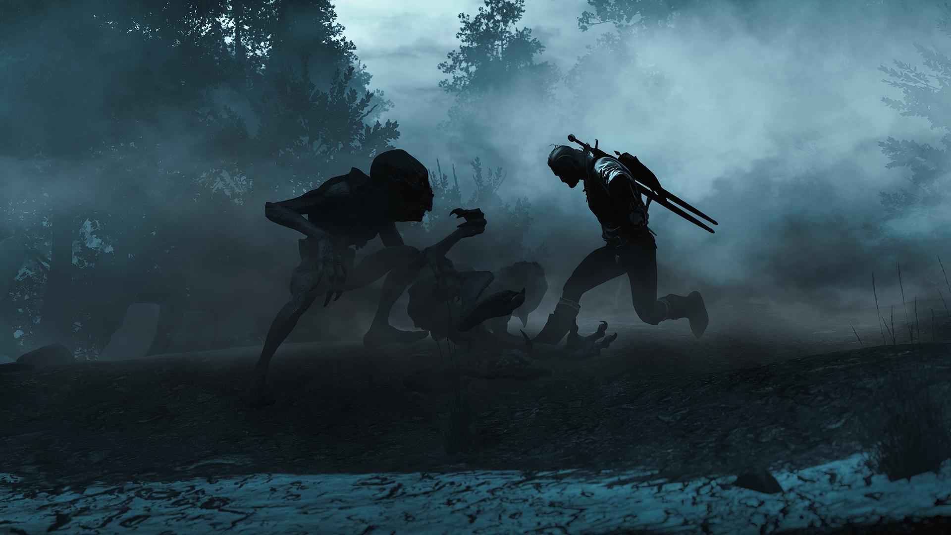 1920x1080 The Witcher: Nightmare of the Wolf will focus on Vesemir