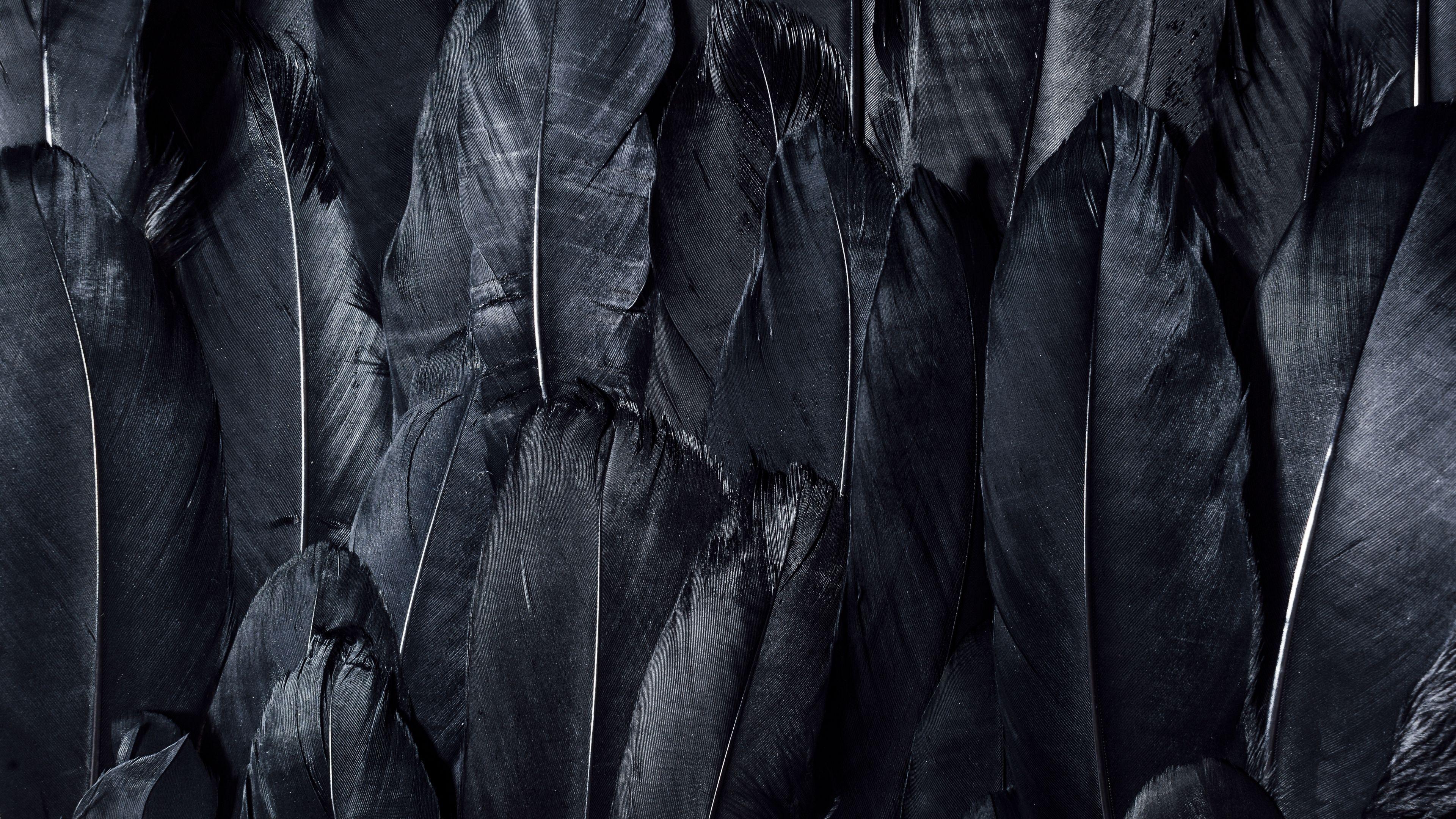 3840x2160 Download wallpaper 3840x2160 feathers, black, dark 4k uhd 16:9 HD