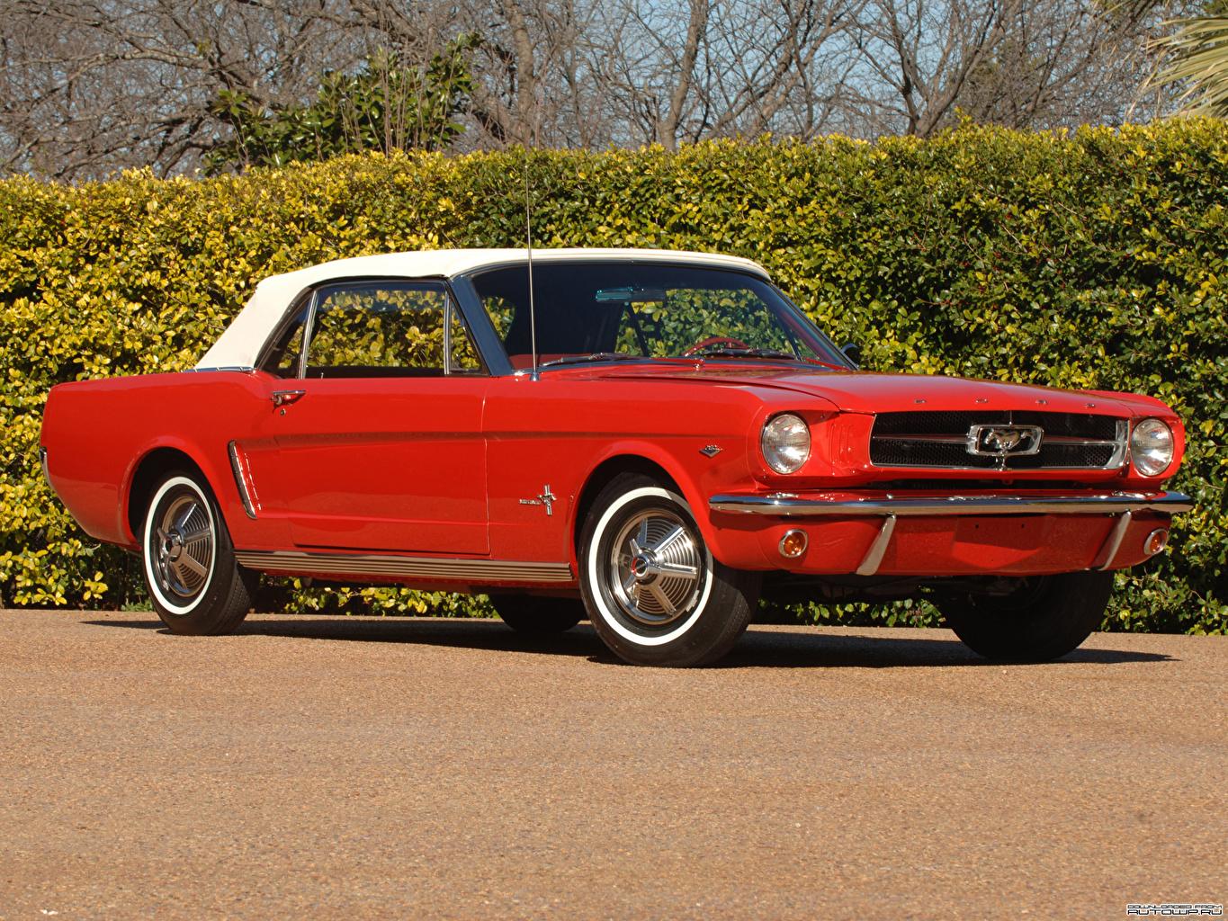 1365x1024 image Ford Mustang Convertible 1964 auto