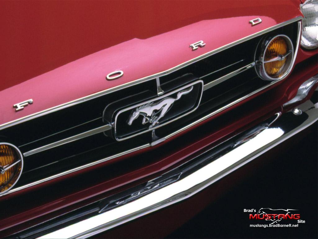 1024x768 Free download 1964 1966 Mustang Desktop Wallpaper The Mustang Source [1024x768] for your Desktop, Mobile & Tablet. Explore 1966 Mustang Wallpaper for Computer. Ford Mustang Wallpaper HD, 66 Mustang Wallpaper