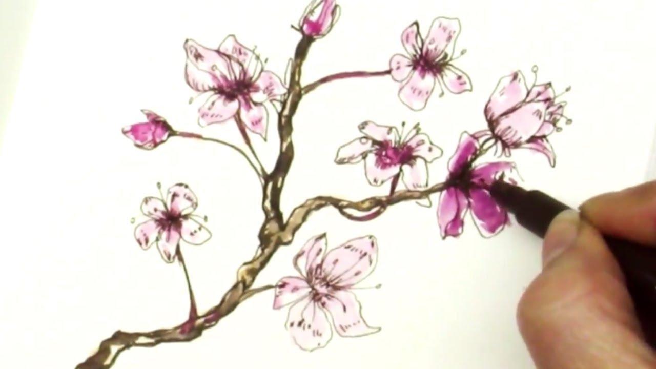 1280x720 Cherry Blossom Drawing Image