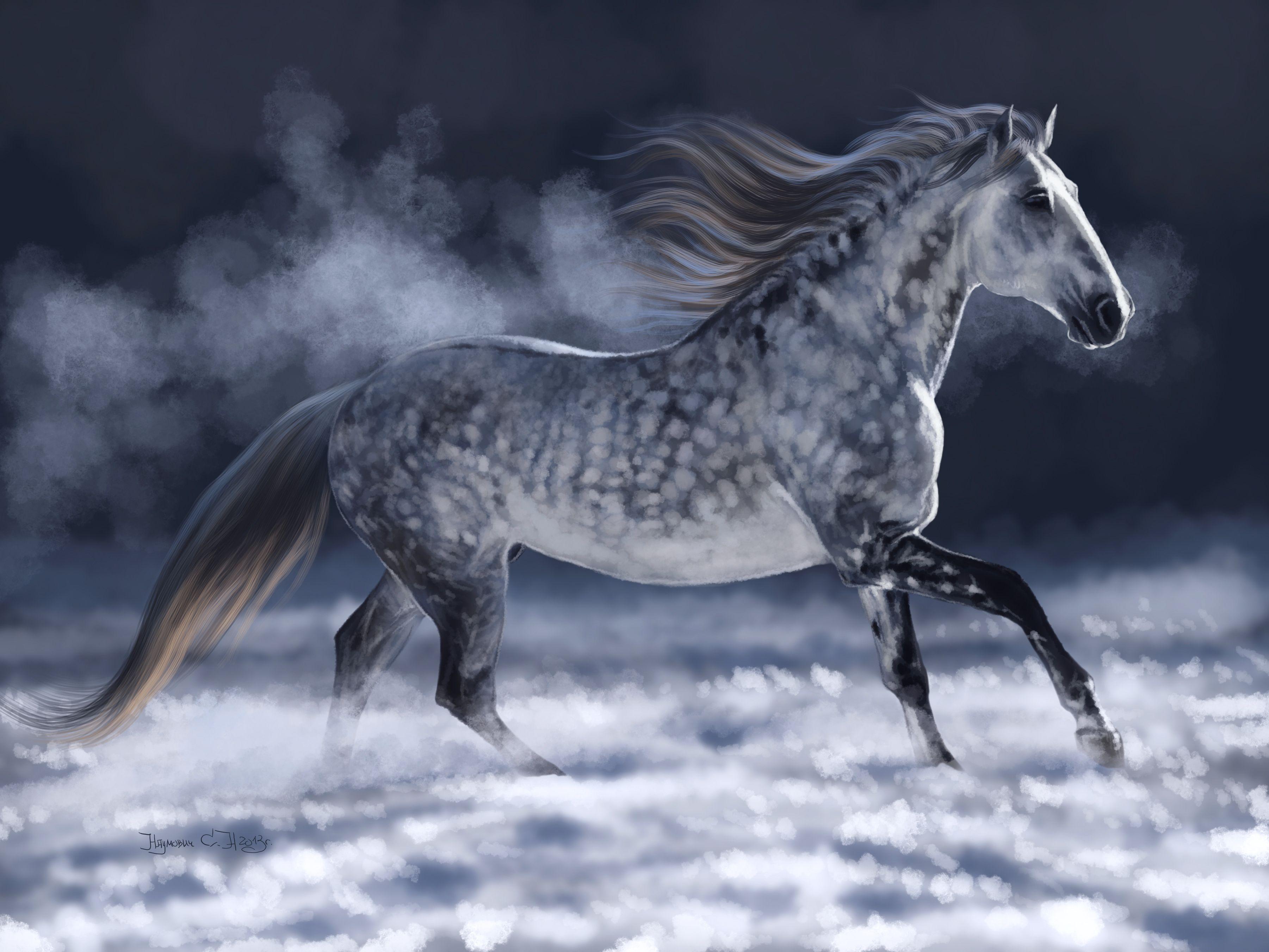 3602x2702 Gorgeous Dapple grey horse with awesome spots running in the clouds. Dapple grey horses, Horses and dogs, Horses