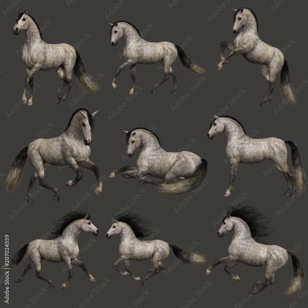 1000x1000 Dapple Grey Horse, 3D CG Stock Illustration