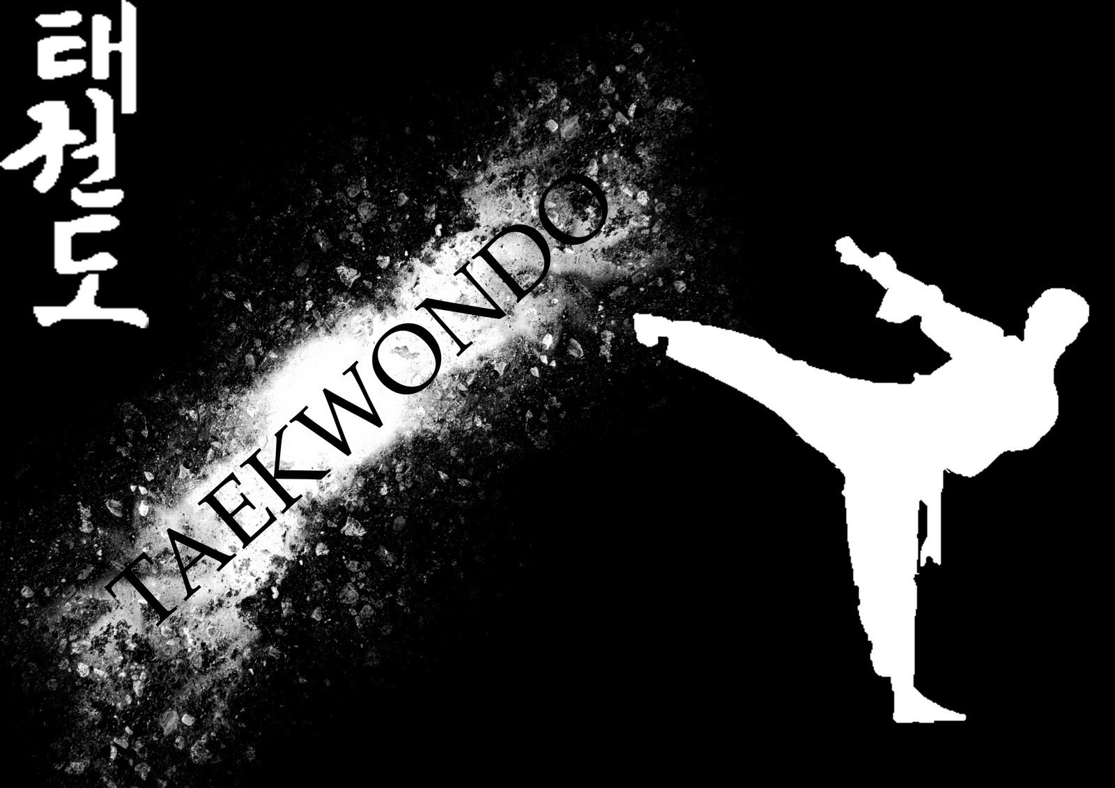 1600x1131 Taekwondo Wallpaper