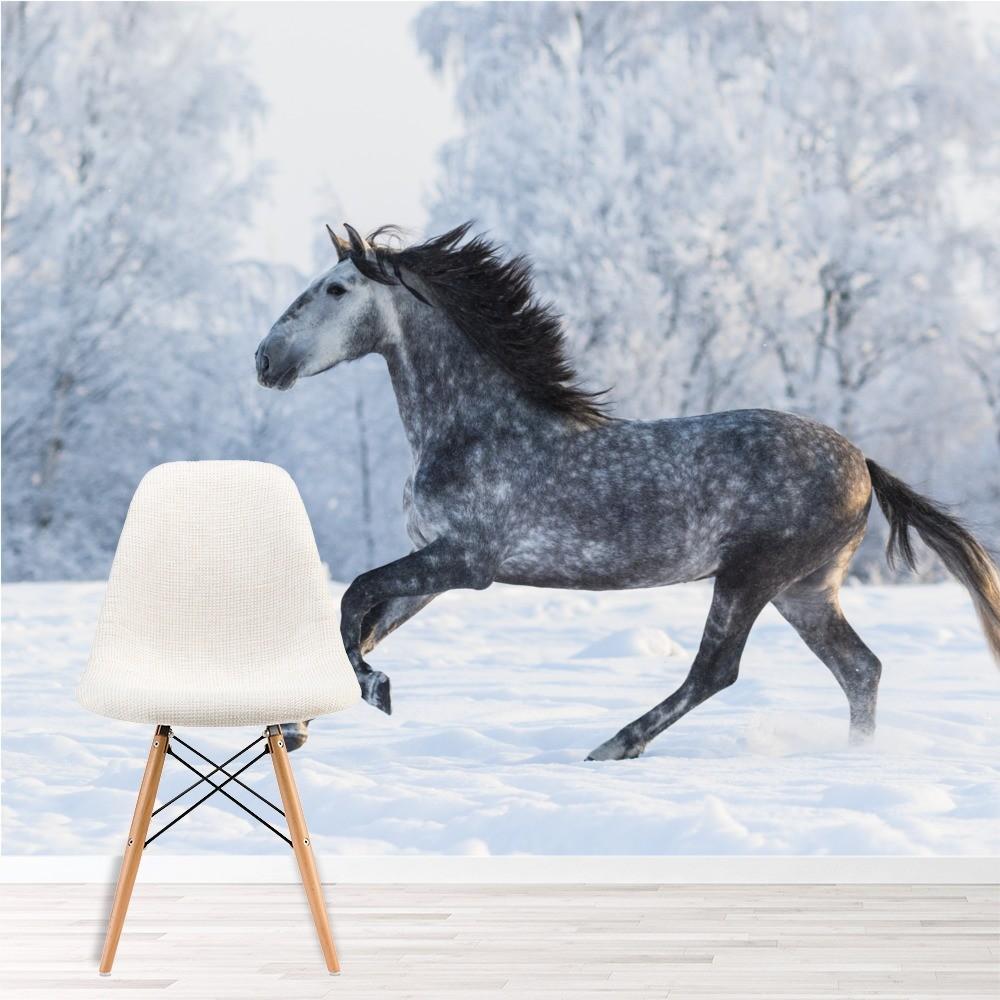 1000x1000 Beautiful Grey Horse In Winter Forest Wallpaper Wall Mural