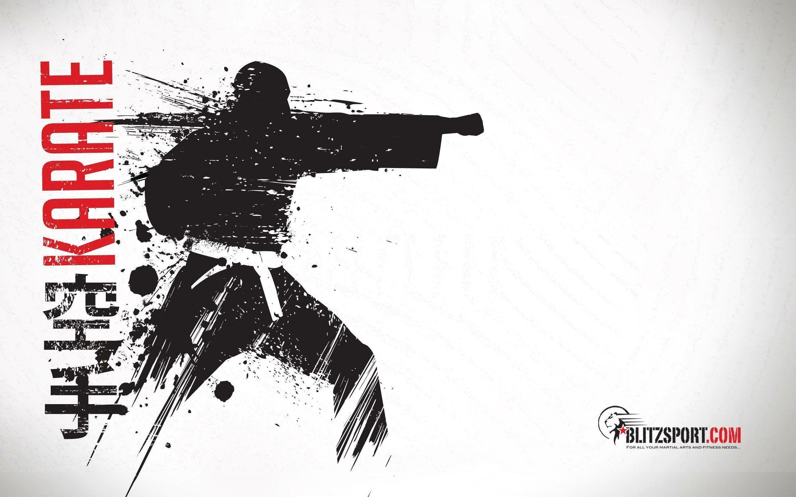 2560x1600 Karate Wallpaper: HD, 4K, 5K for PC and Mobile. Download free image for iPhone, Android