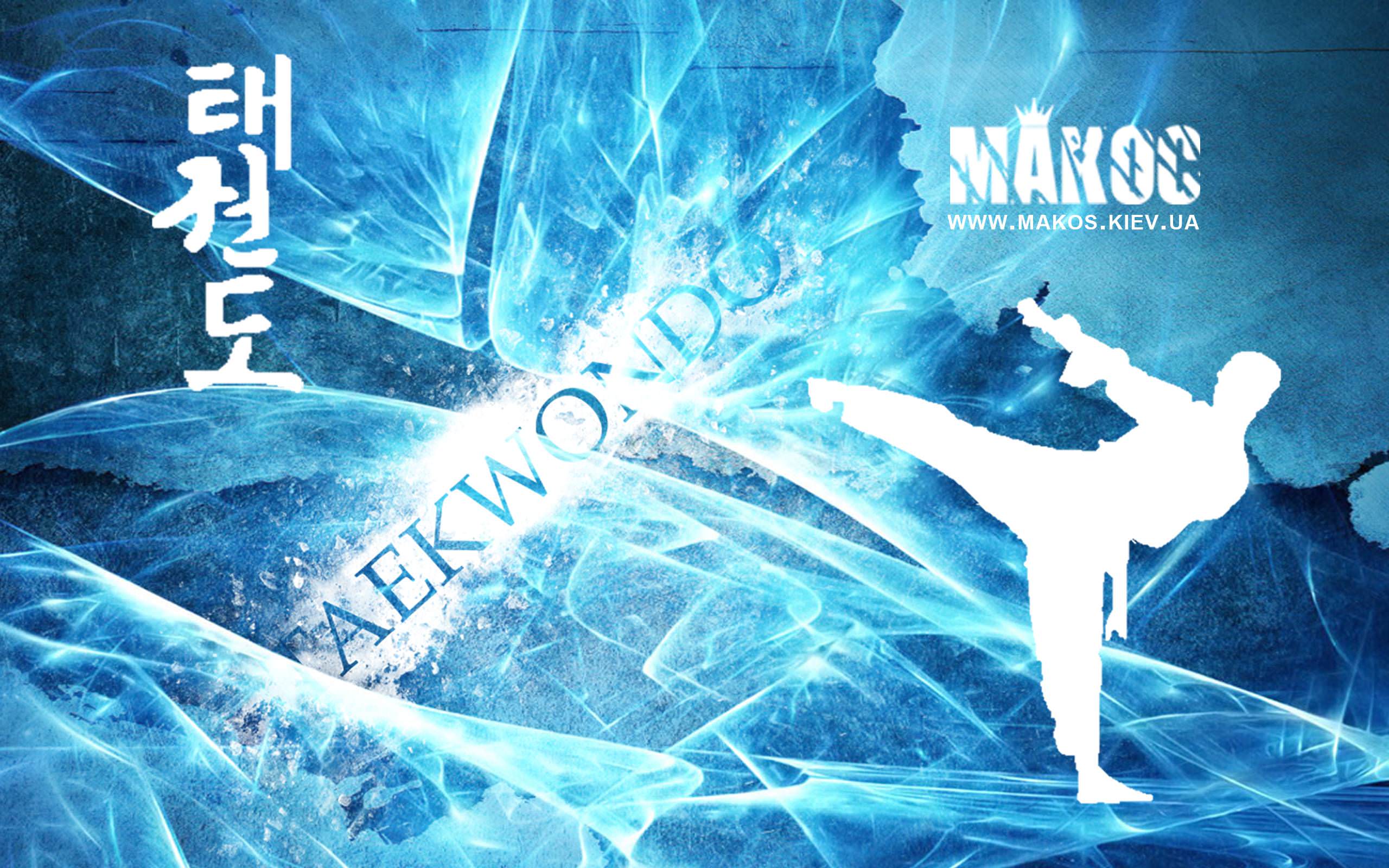 2560x1600 Download Taekwondo 2020 4K Mobile Wallpaper