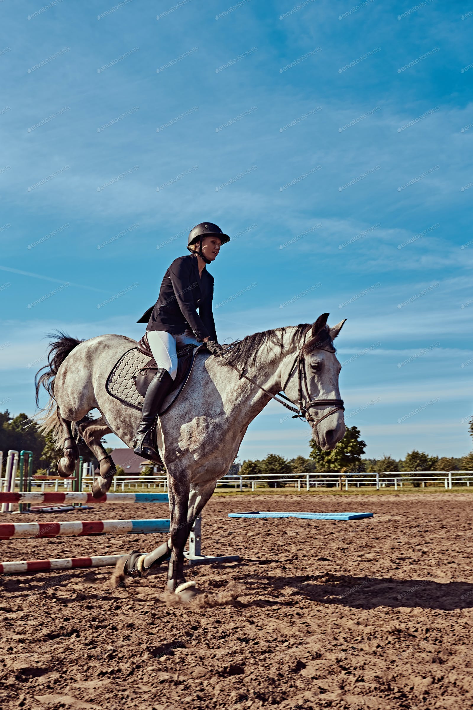 1600x2400 Female jockey on dapple gray horse jumping over hurdle in the open arena. photo by fxquadro on Envato Elements