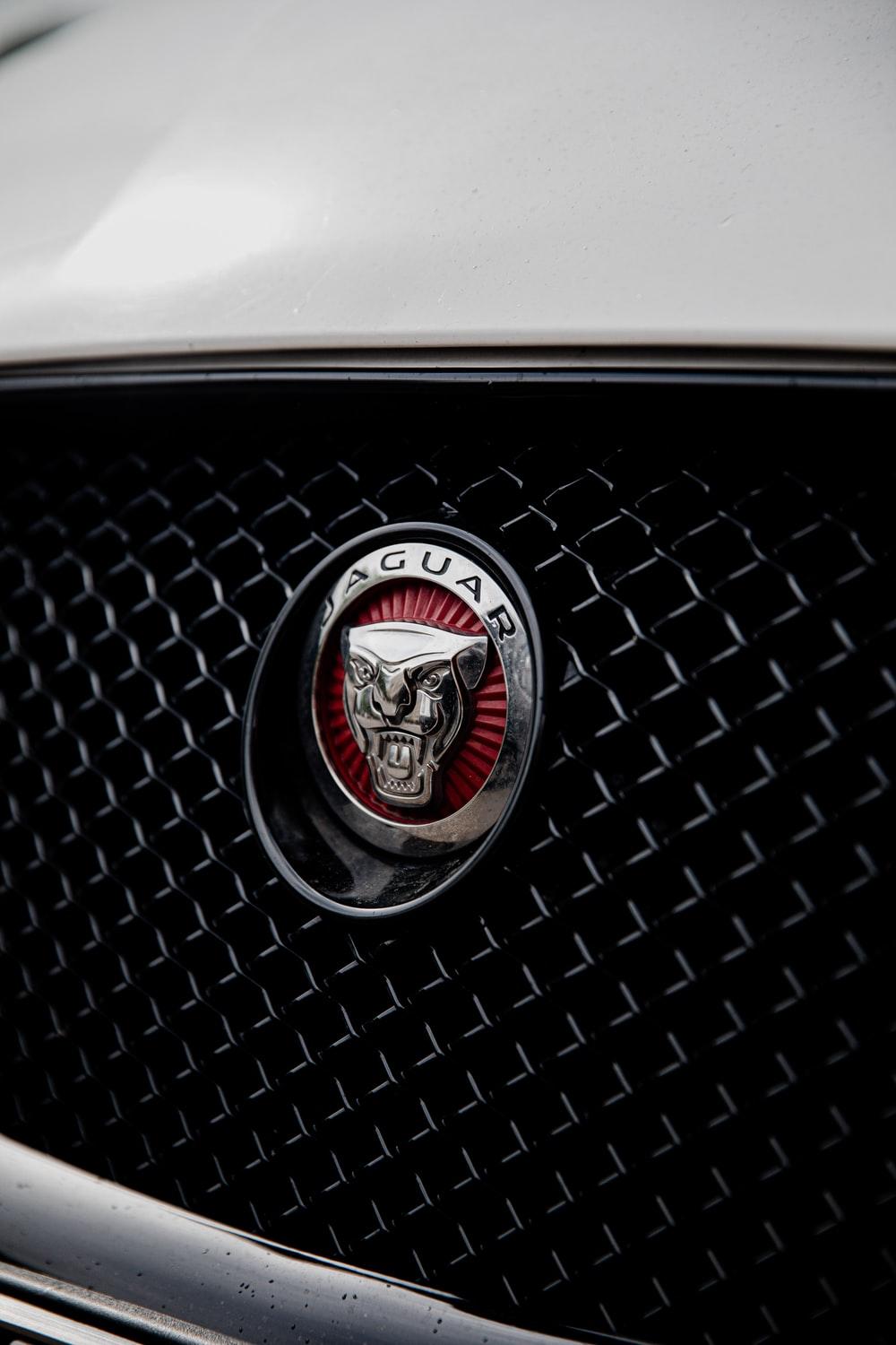 1000x1500 Car Grill Picture. Download Free Image