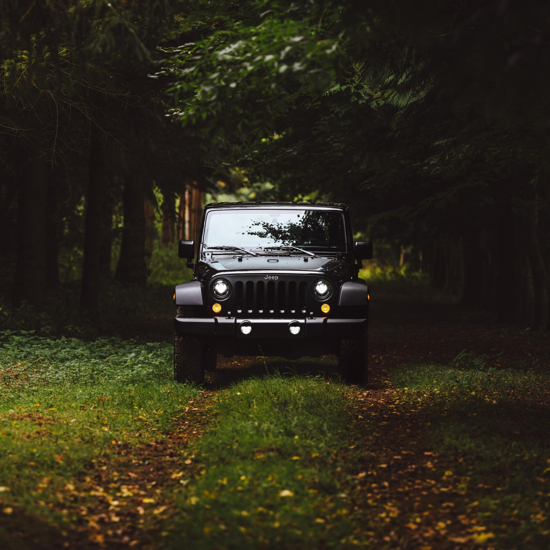 2248x2248 Download black jeep, forest, jeep wrangler 2248x2248 wallpaper, ipad air, ipad air ipad ipad ipad mini ipad mini 2248x2248 HD image, background, 2165