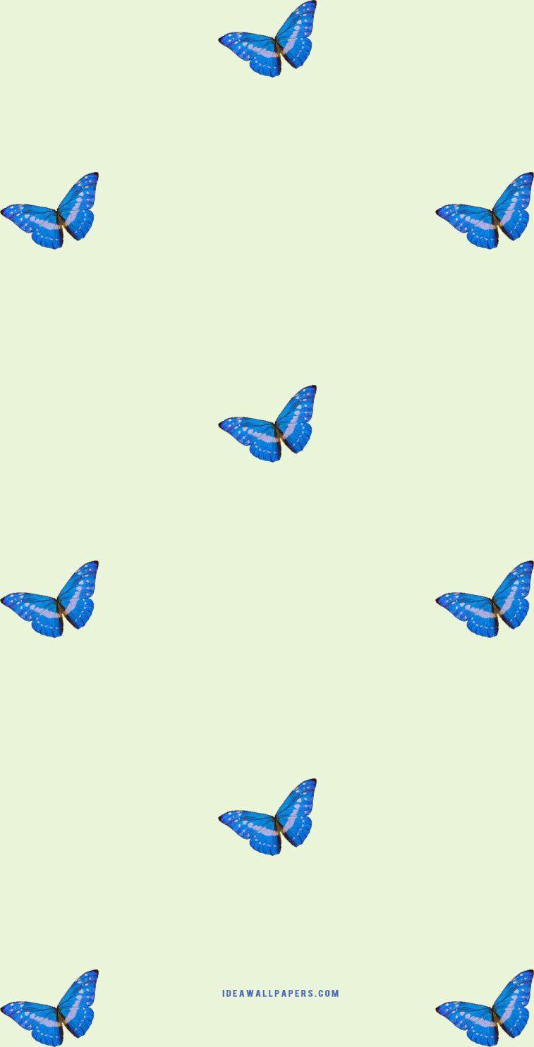 757x1485 Aesthetic Light Green Wallpaper