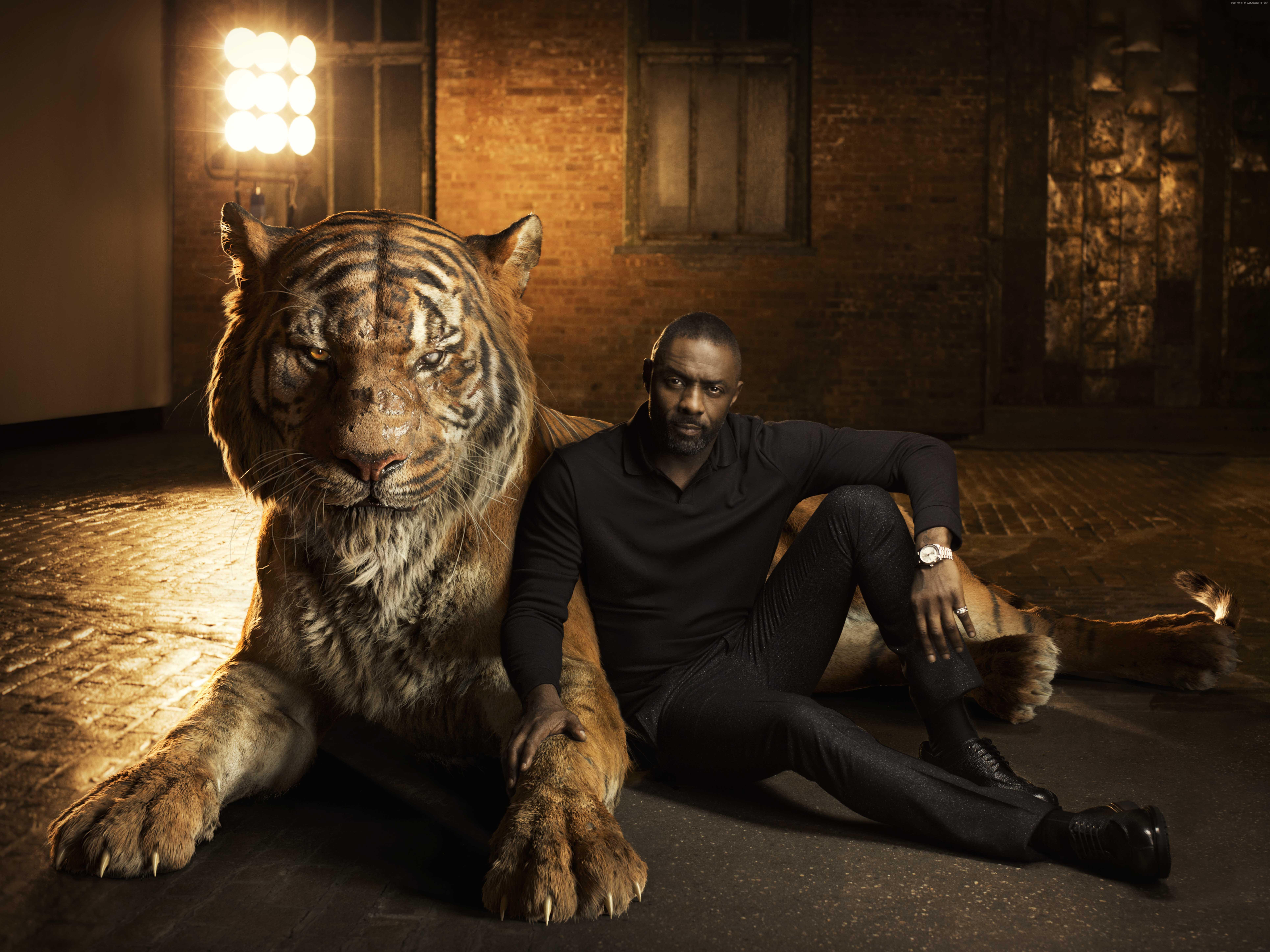 7723x5792 Picture The Jungle Book 2016 tiger Man Negroid Movies 7723x5792
