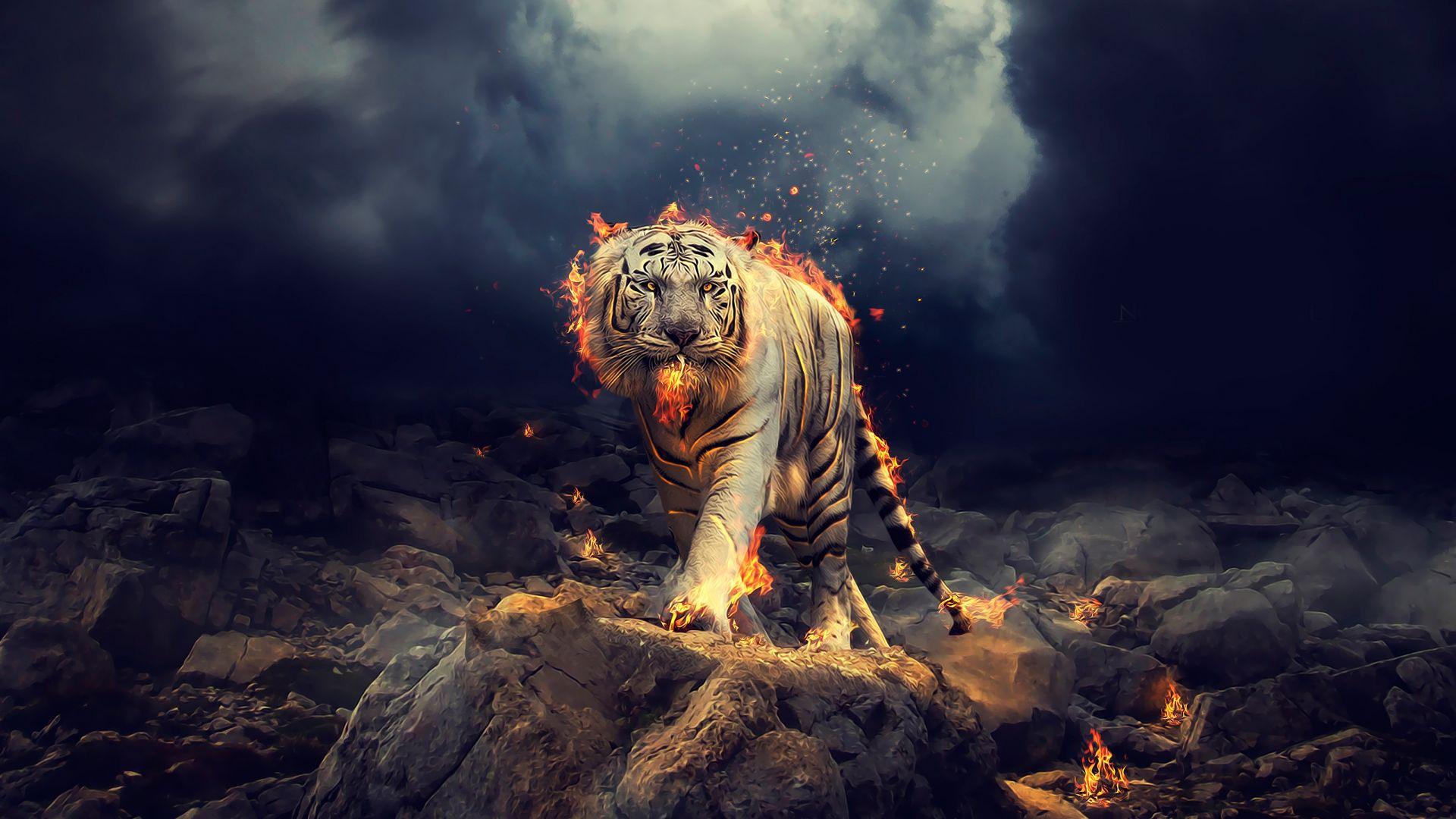 Tiger Man Wallpapers - Top Free Tiger Man Backgrounds - WallpaperAccess