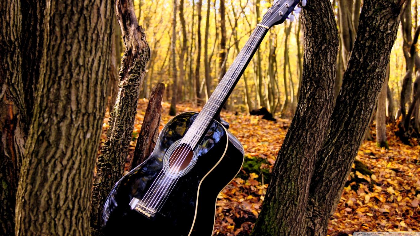 1366x768 Guitar Wallpaper and Background Imagex768