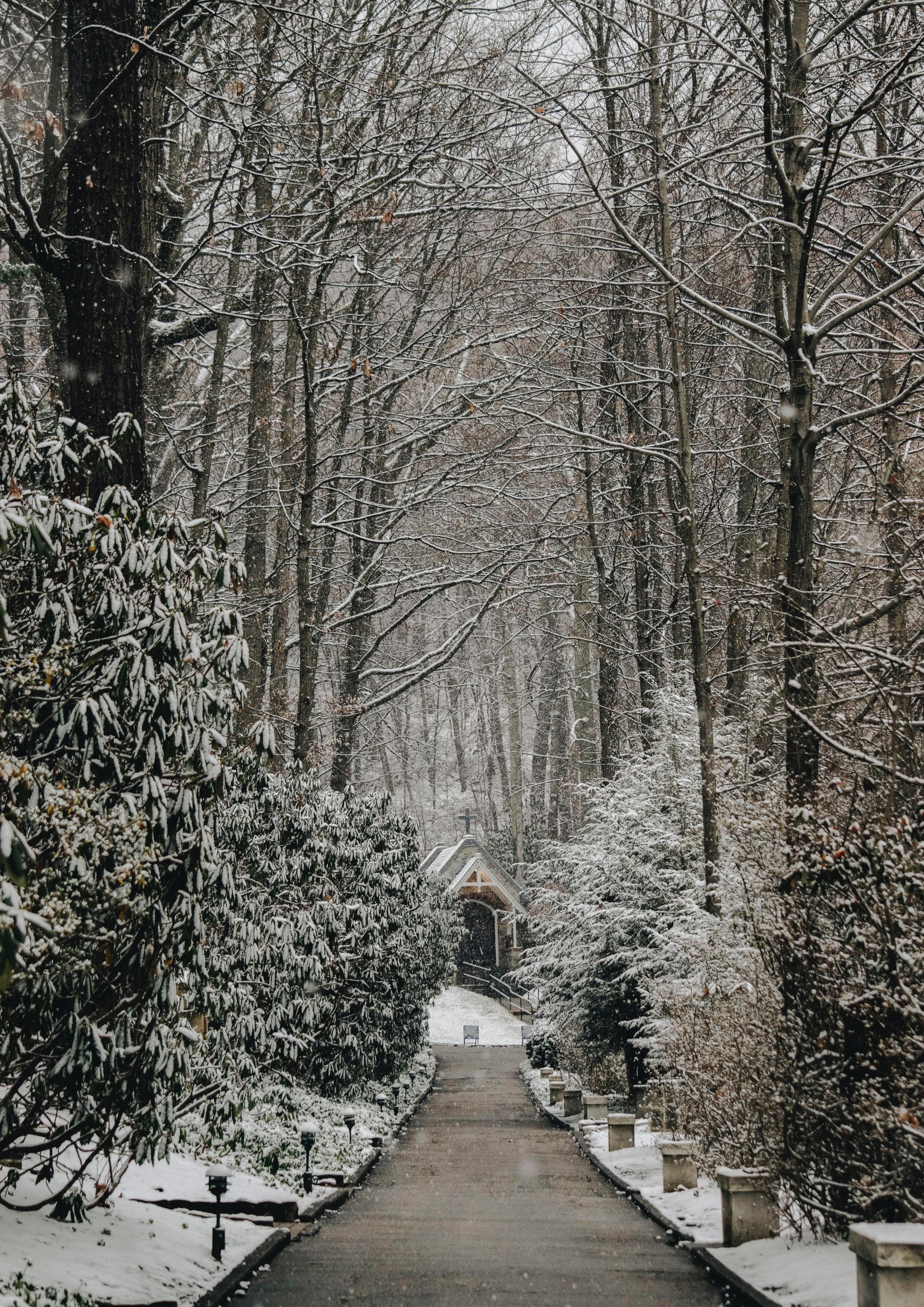 2560x3620 Download 2560x3620 Winter, Church, Snow, Path, Trees Wallpaper