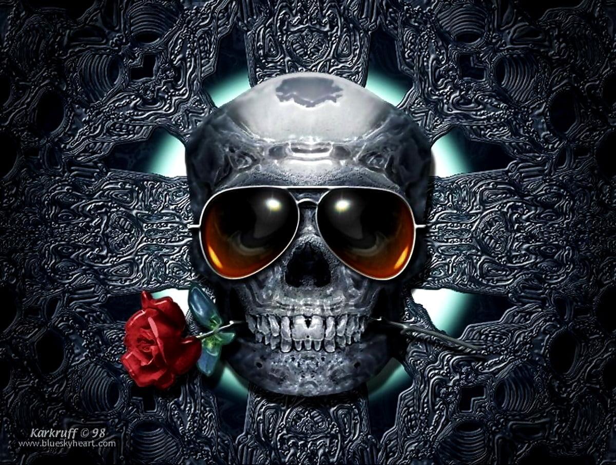 1200x906 Skull wallpaper phone. Download Free background