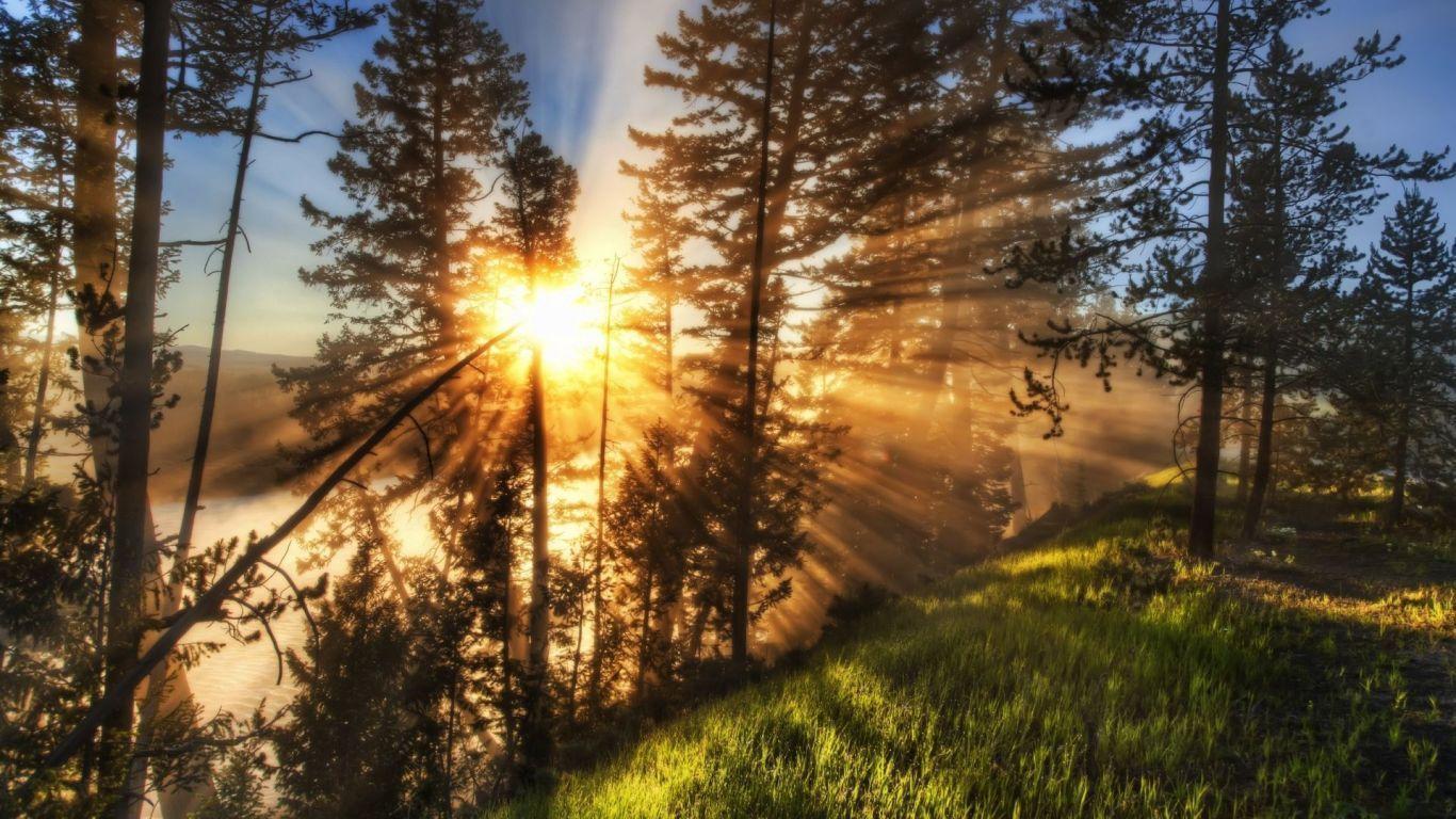 1366x768 HD Wallpaper