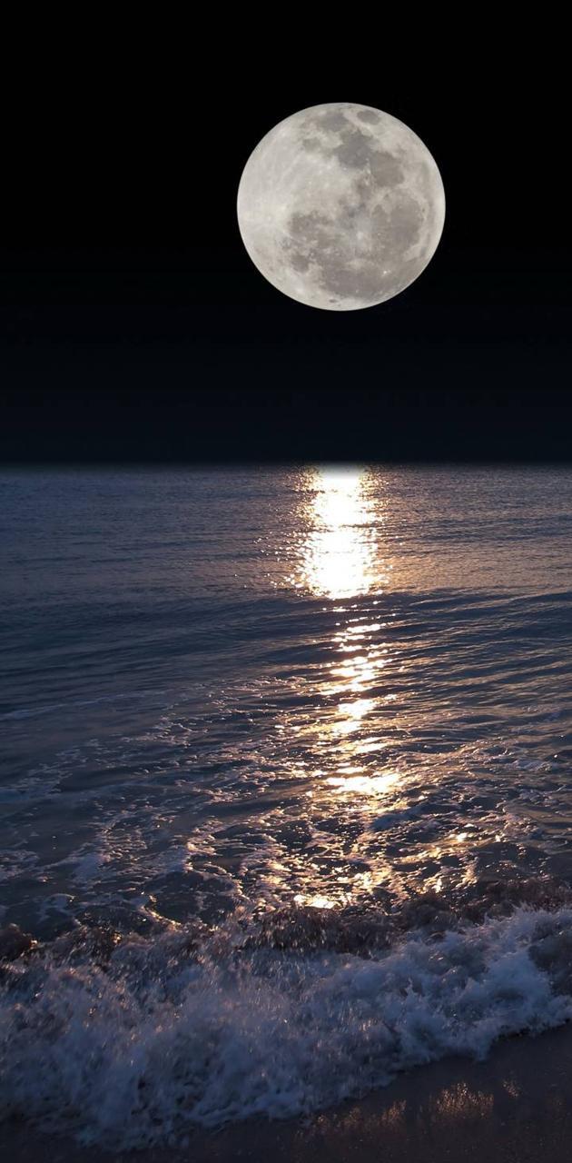 Beach Moon Wallpapers - Top Free Beach Moon Backgrounds - WallpaperAccess