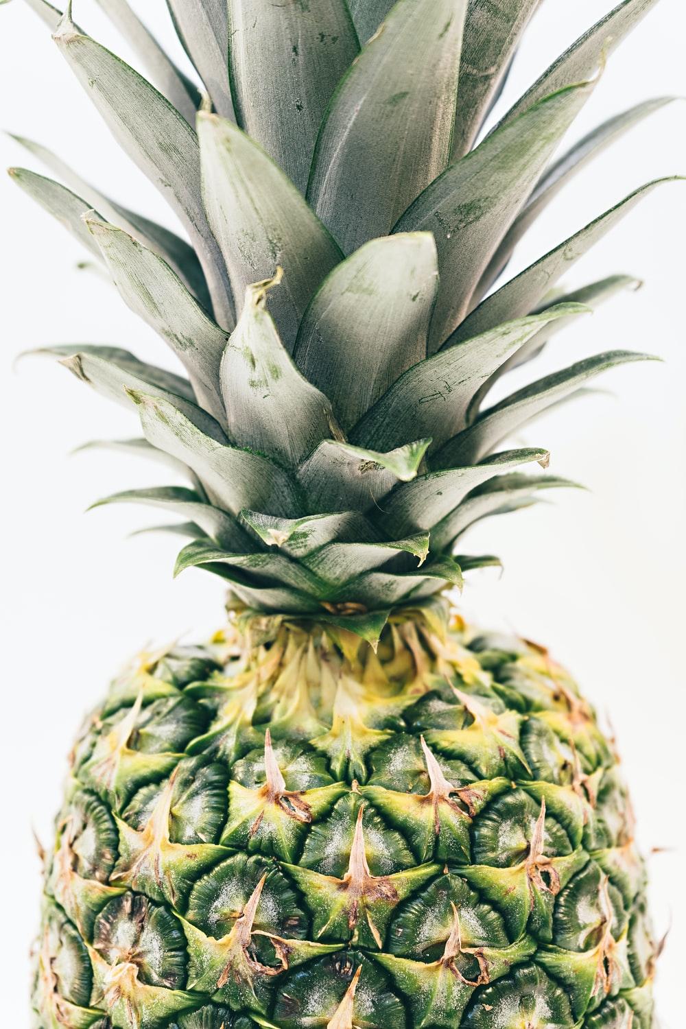1000x1500 green pineapple fruit photo