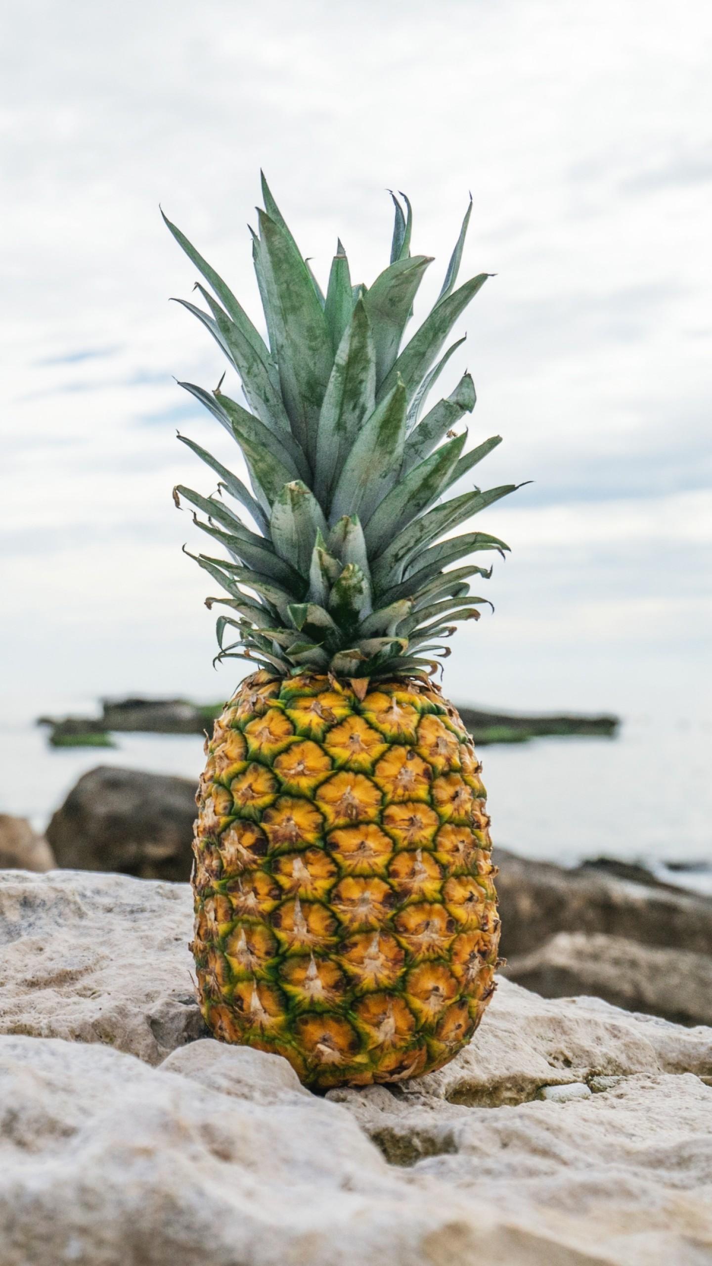 1440x2560 Wallpaper pineapple, fruit, stones, beach, 4k, Food
