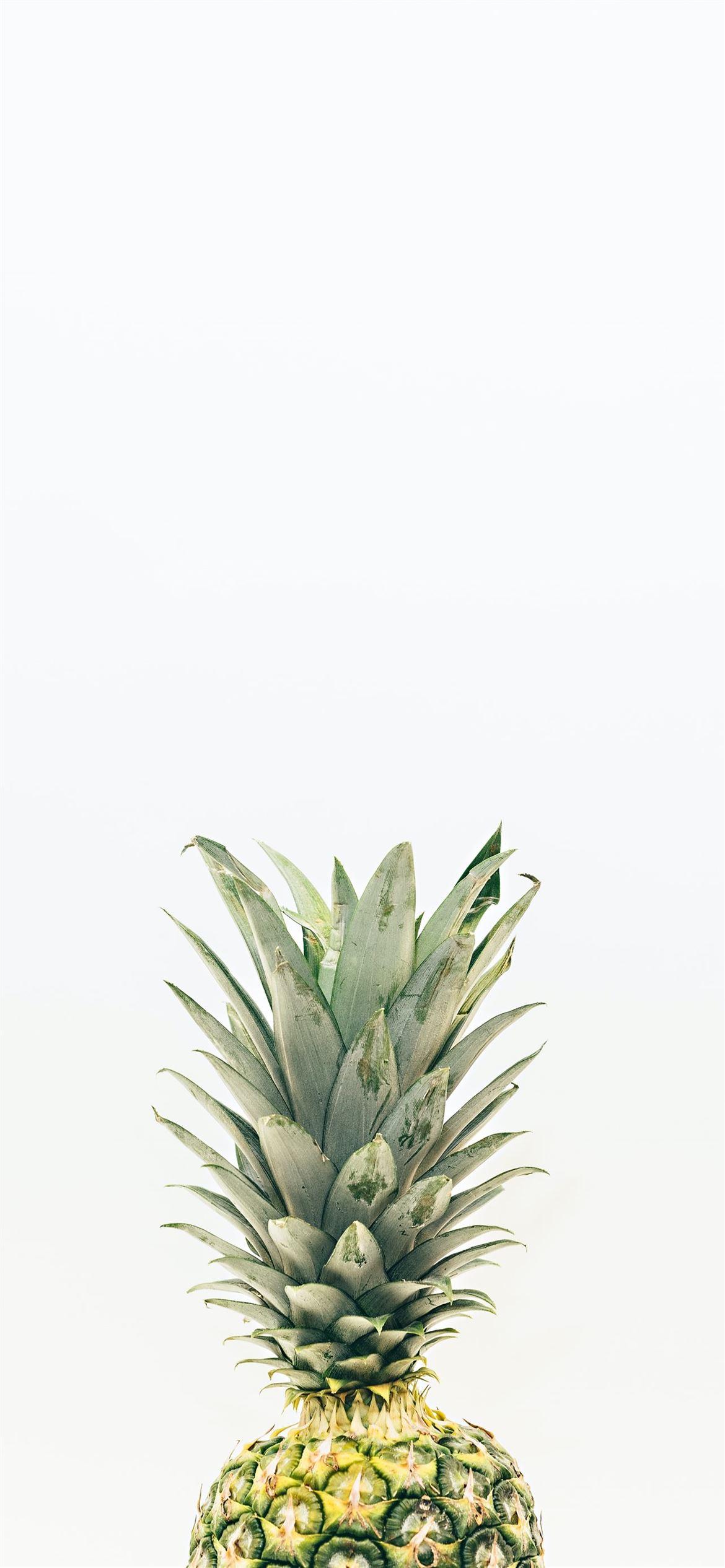 1170x2532 pineapple fruit iPhone 12 Wallpaper Free Download