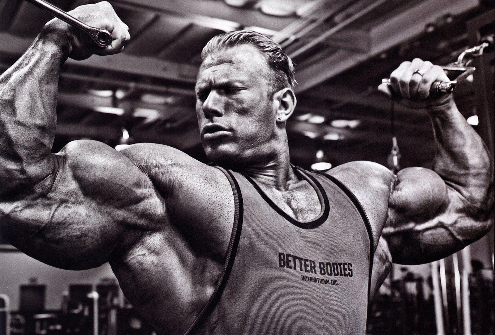 1600x1081 Wallpaper Of Body Builder