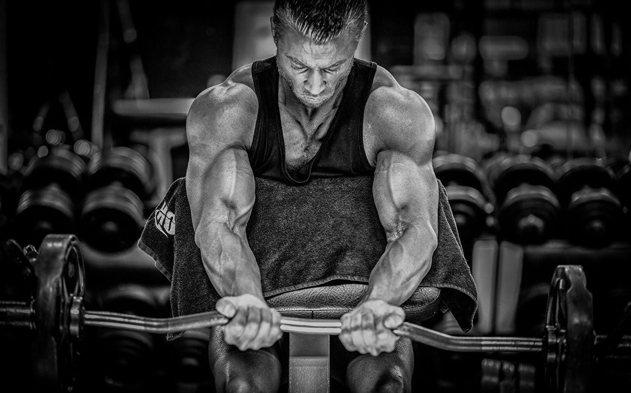 1280x797 Bodybuilding wallpaper picture download