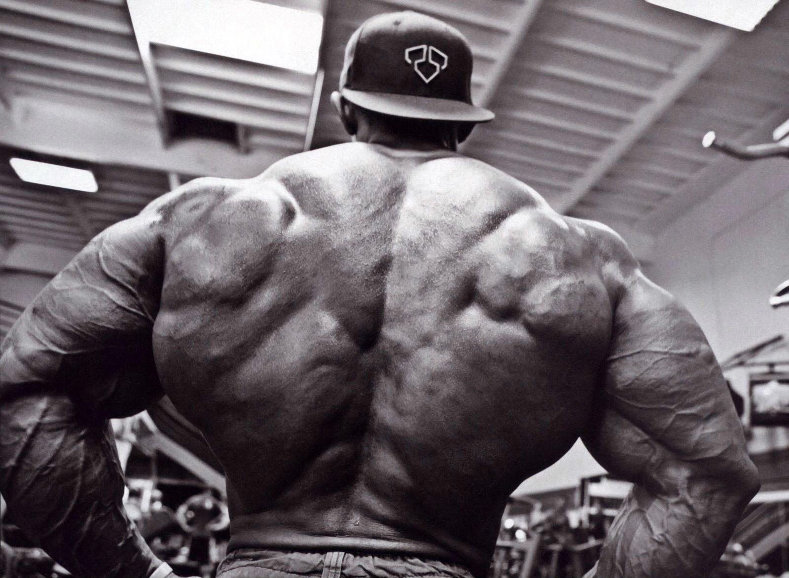 1600x1172 Latest Bodybuilder Wallpaper