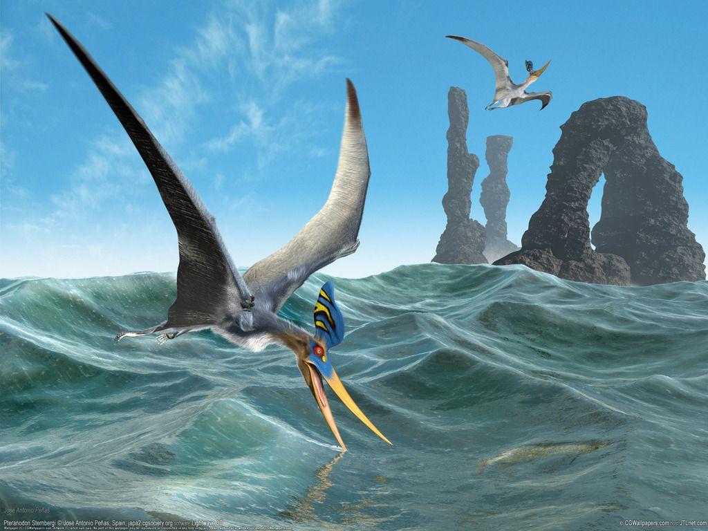 1024x768 Pteranodon ideas. prehistoric animals, prehistoric creatures, prehistoric