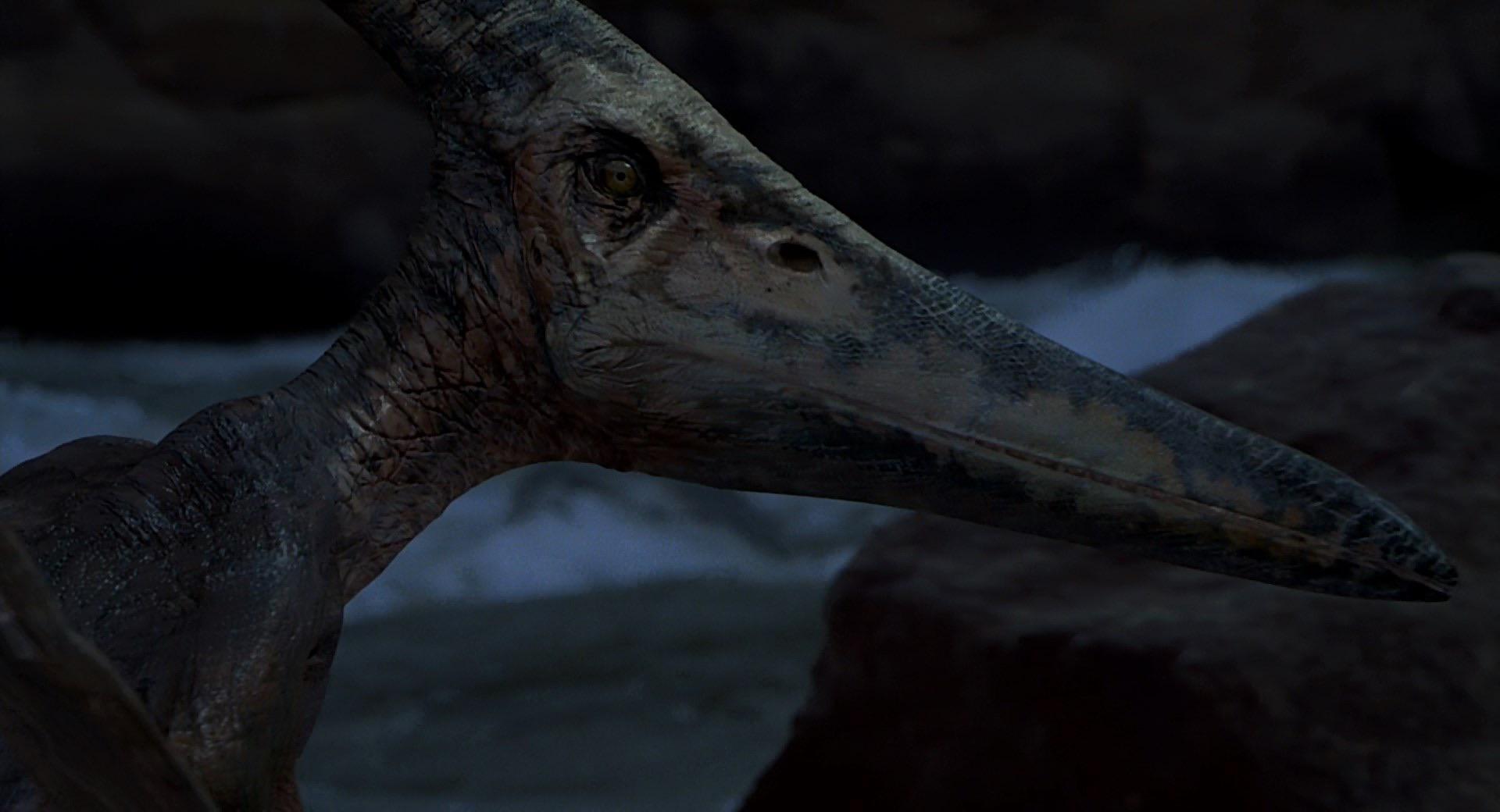 1920x1040 I Was Today Years Old When I Found Out That This Pteranodon Was Actually CGI, Not An Animatronic. Jurassic Park III Was So Ahead Of The Curve, It's Insane