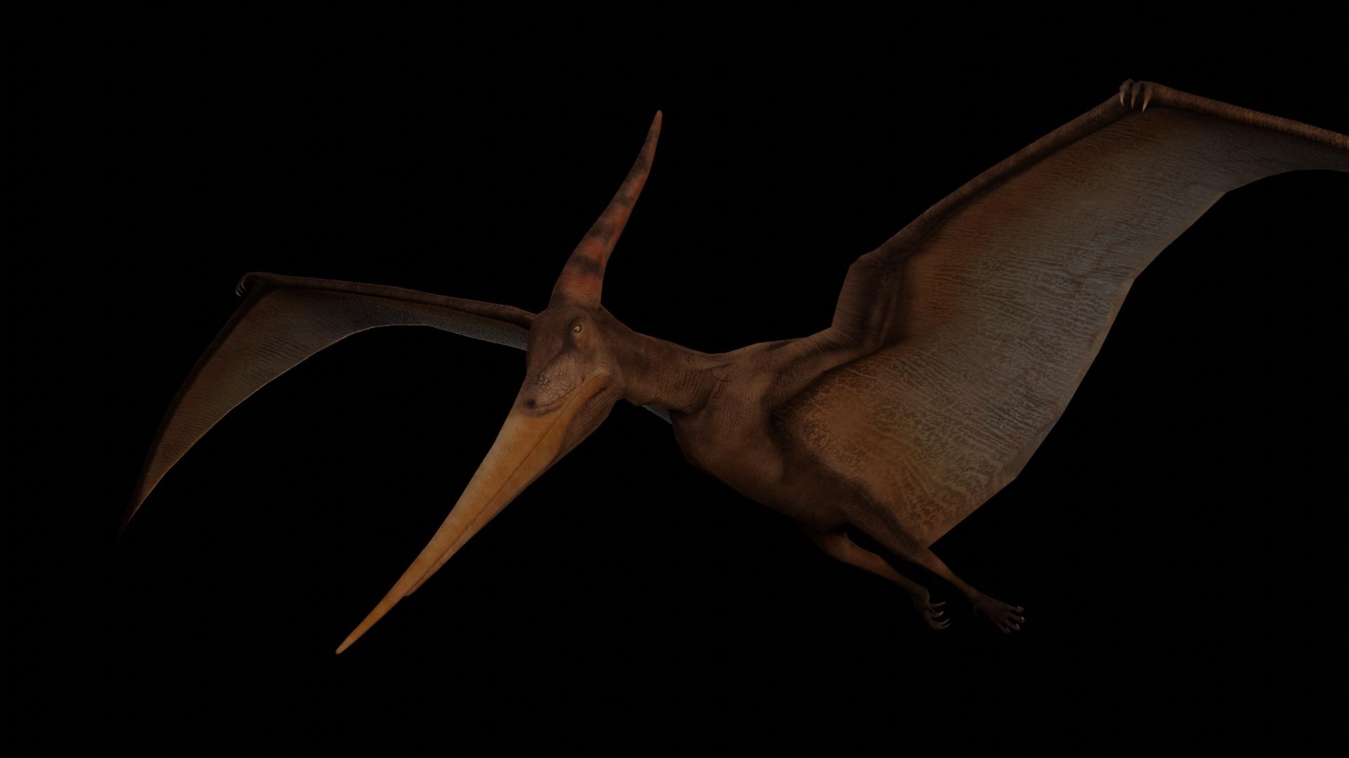 1920x1080 Pteranodon in Characters