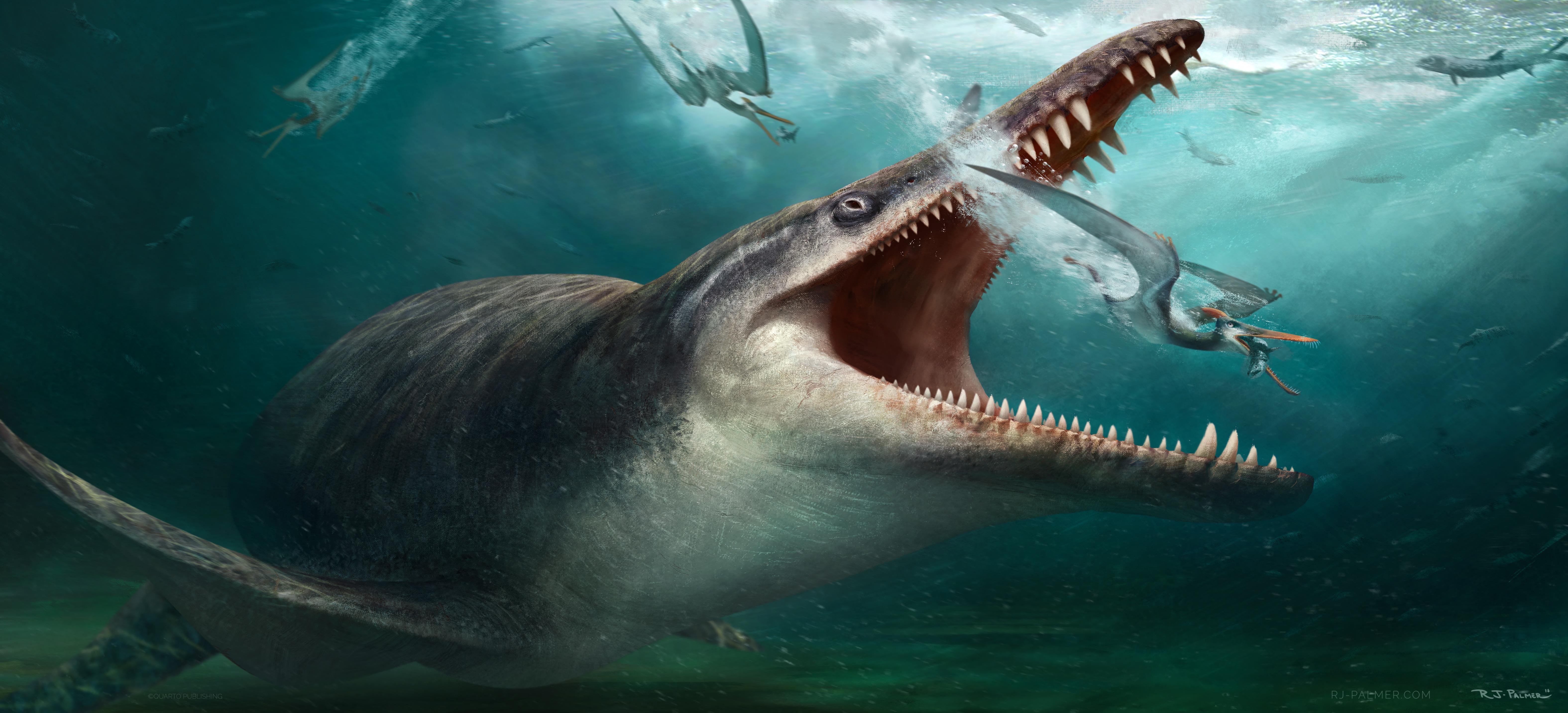 6300x2863 Pteranodon Image