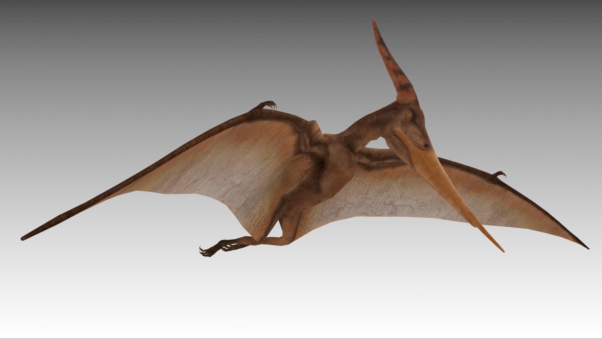 1920x1080 Pteranodon in Characters