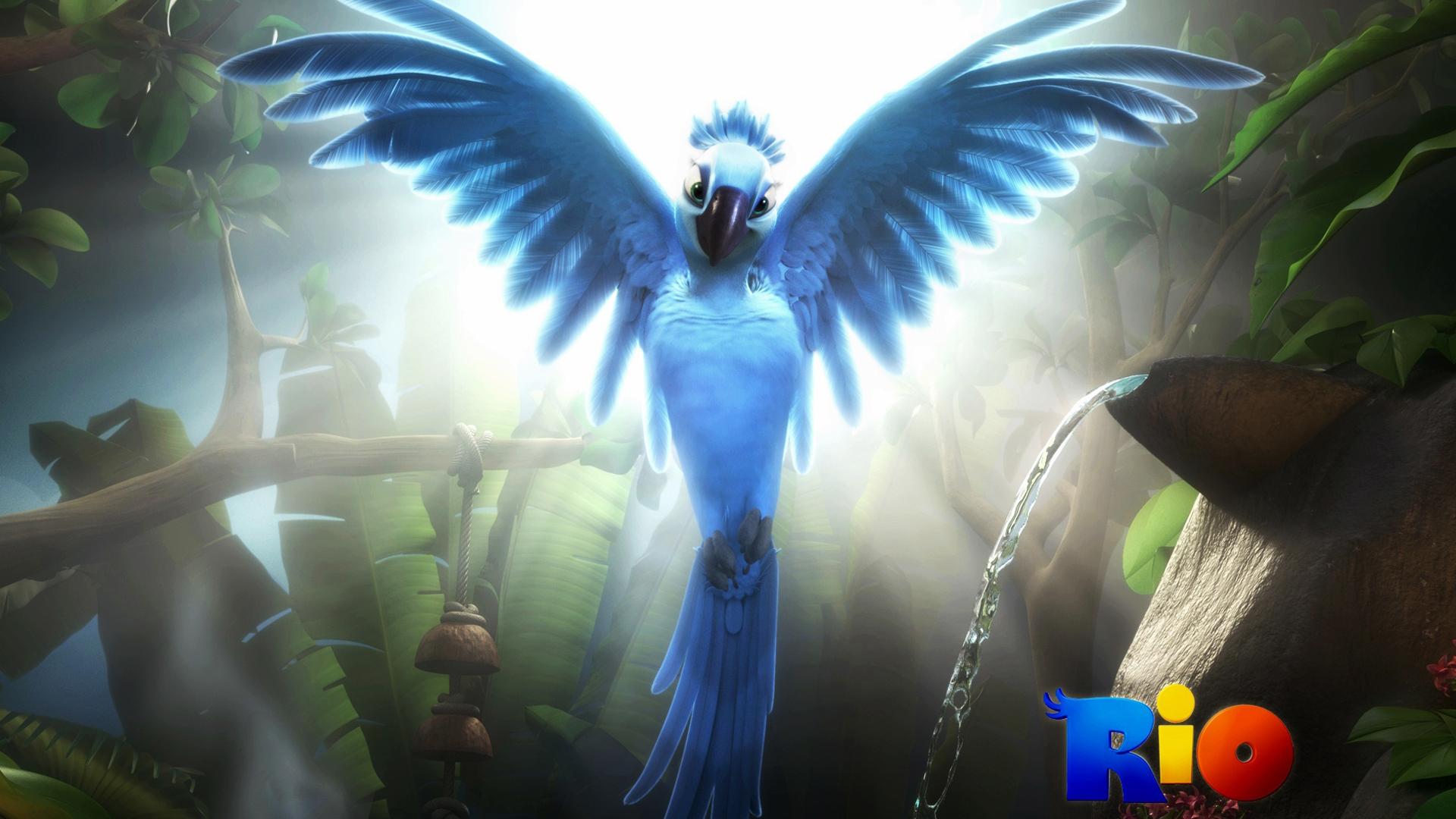 1920x1080 Animated Wallpaper HD Blue Bird Flying