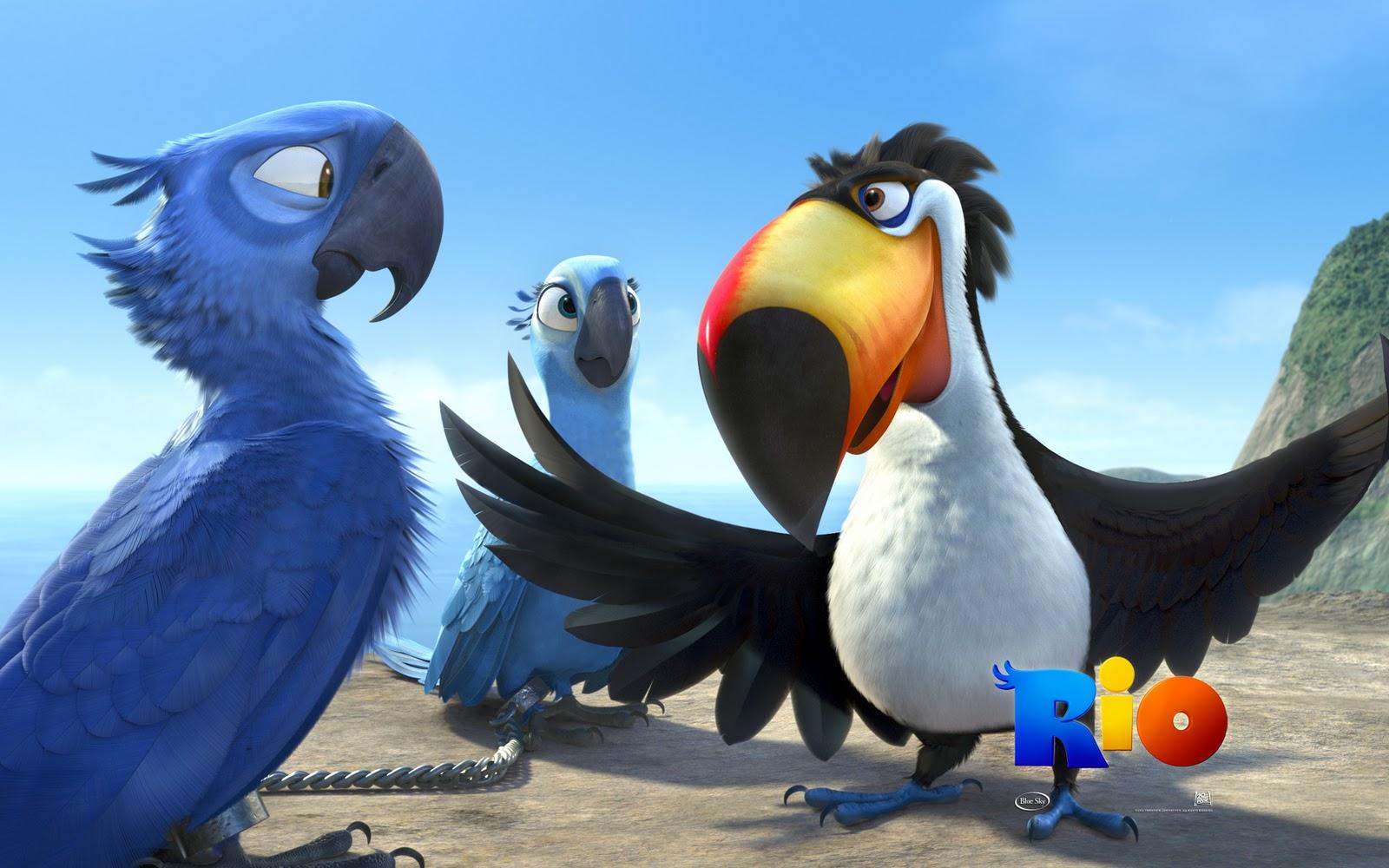 Rio Birds Wallpapers Top Free Rio Birds Backgrounds WallpaperAccess rio-birds-wallpapers-top-free-rio-birds-backgrounds-wallpaperaccess