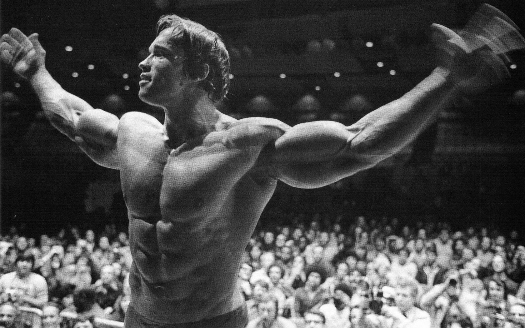 1680x1050 Arnold Wallpaper