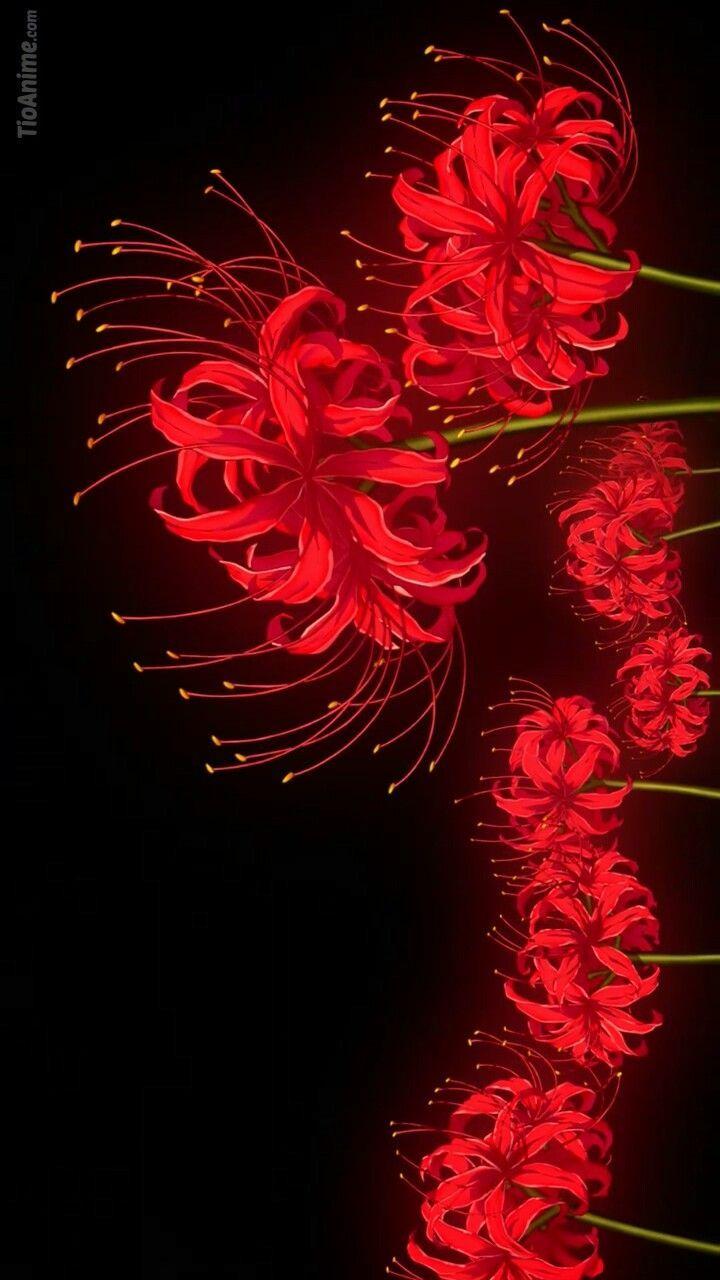 720x1280 slayer. Tokyo ghoul flower, Red spider lily, Tokyo ghoul