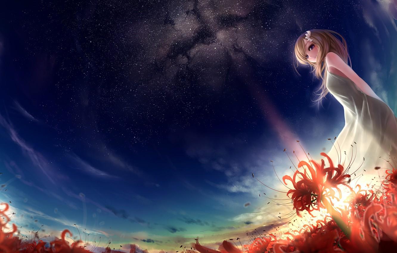1332x850 Wallpaper field, girl, stars, sunset, flowers, art, red, munashichi, radiata, Lycoris image for desktop, section прочее