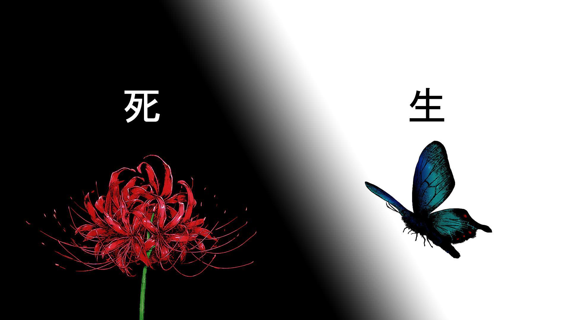1920x1080 What is the symbolism behind the flower and butterfly?