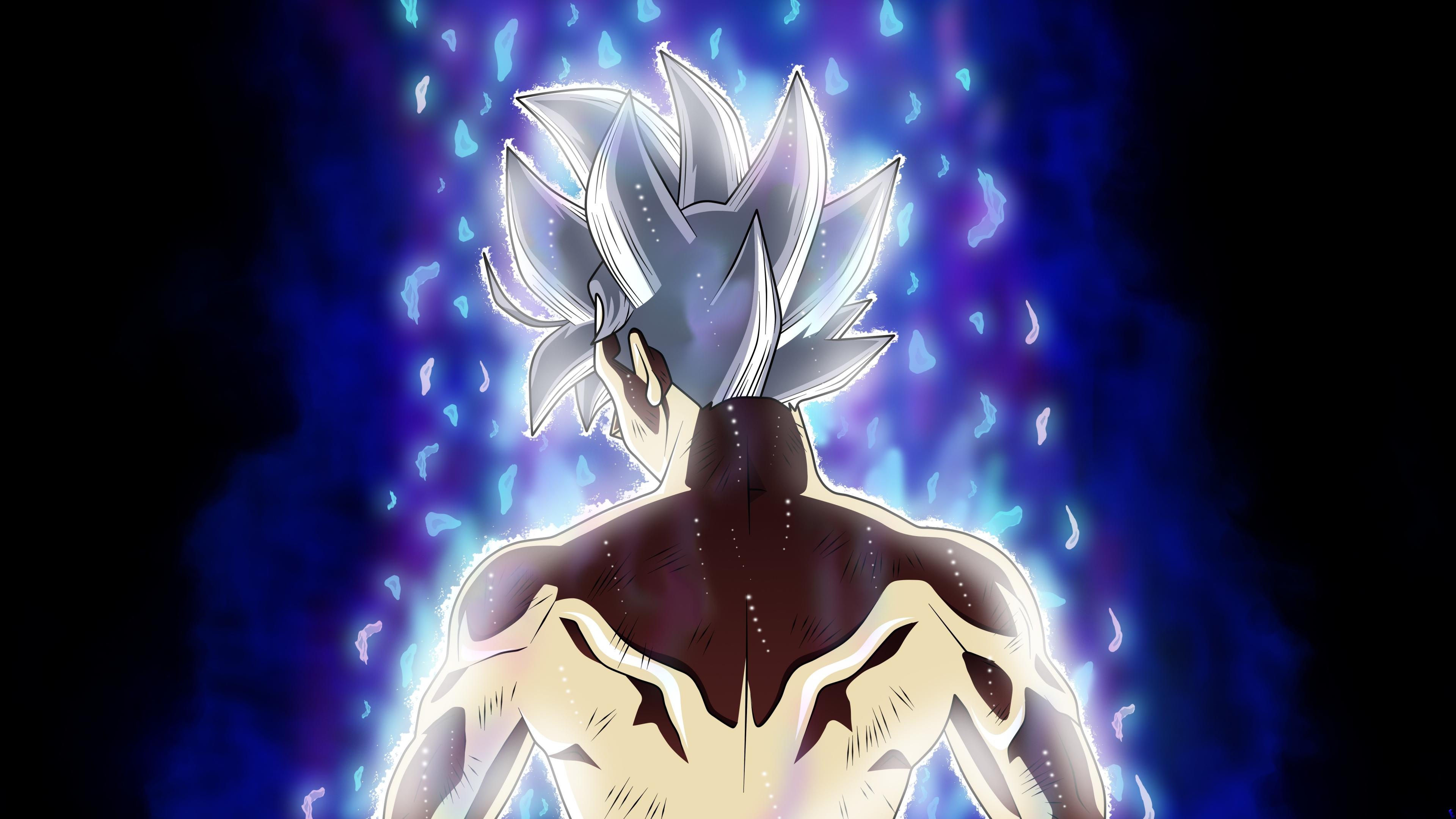 3840x2160 Download 3840x2160 goku, back, dragon ball super 4k wallpaper, uhd wallpaper, 16:9 widescreen wallpaper, 3840x2160 HD image, background, 4309