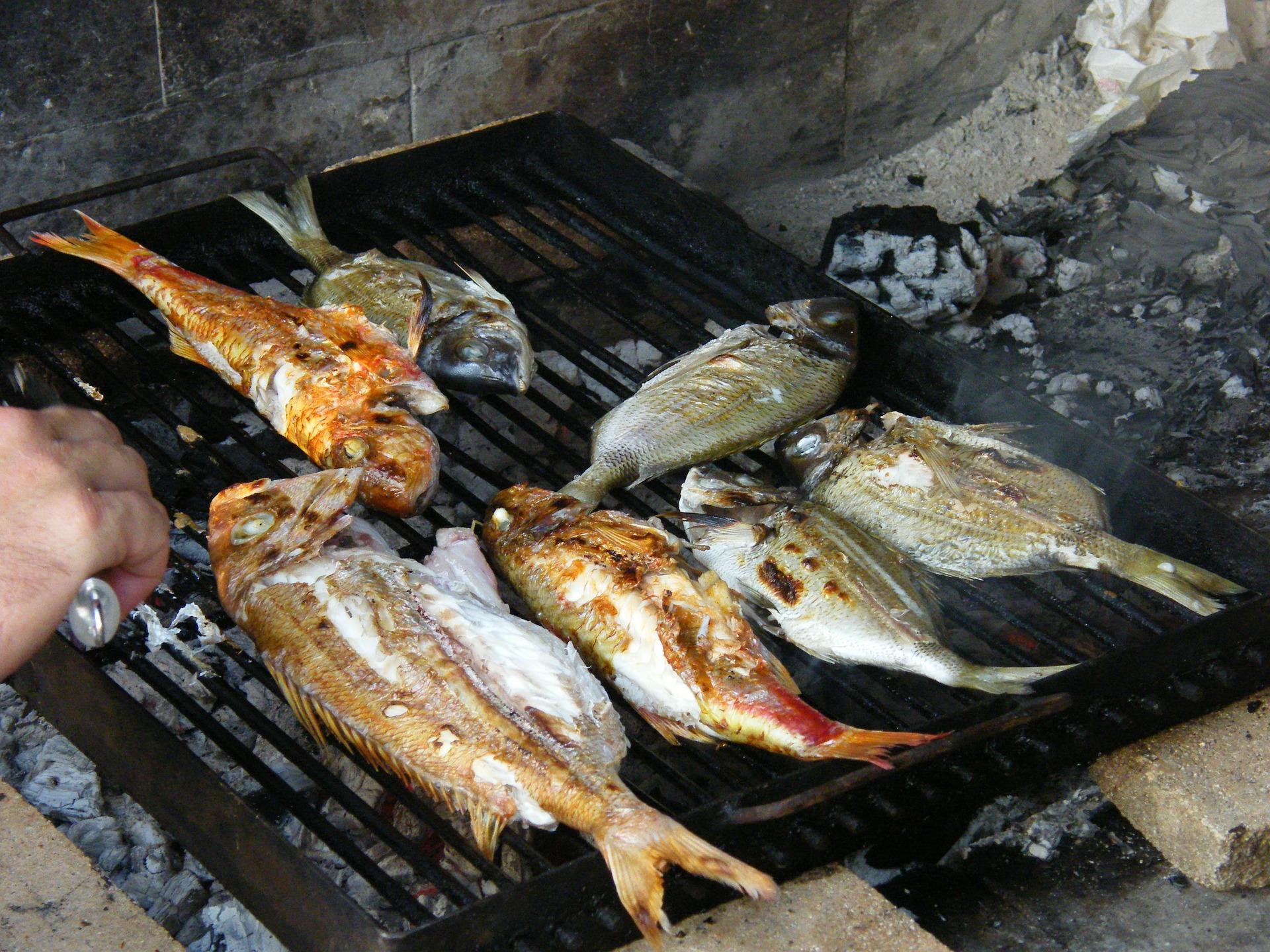 1920x1440 No grilled Fish Dalmatia! The most popular Dalmatian meal