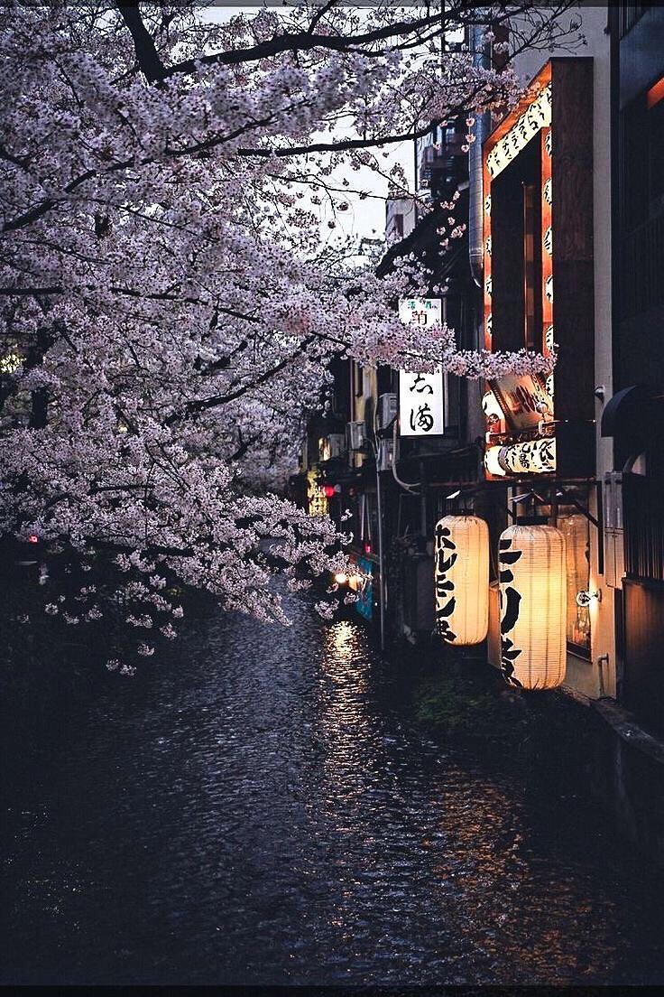 Japanese Aesthetic Phone Wallpapers - Top Free Japanese Aesthetic Phone ...