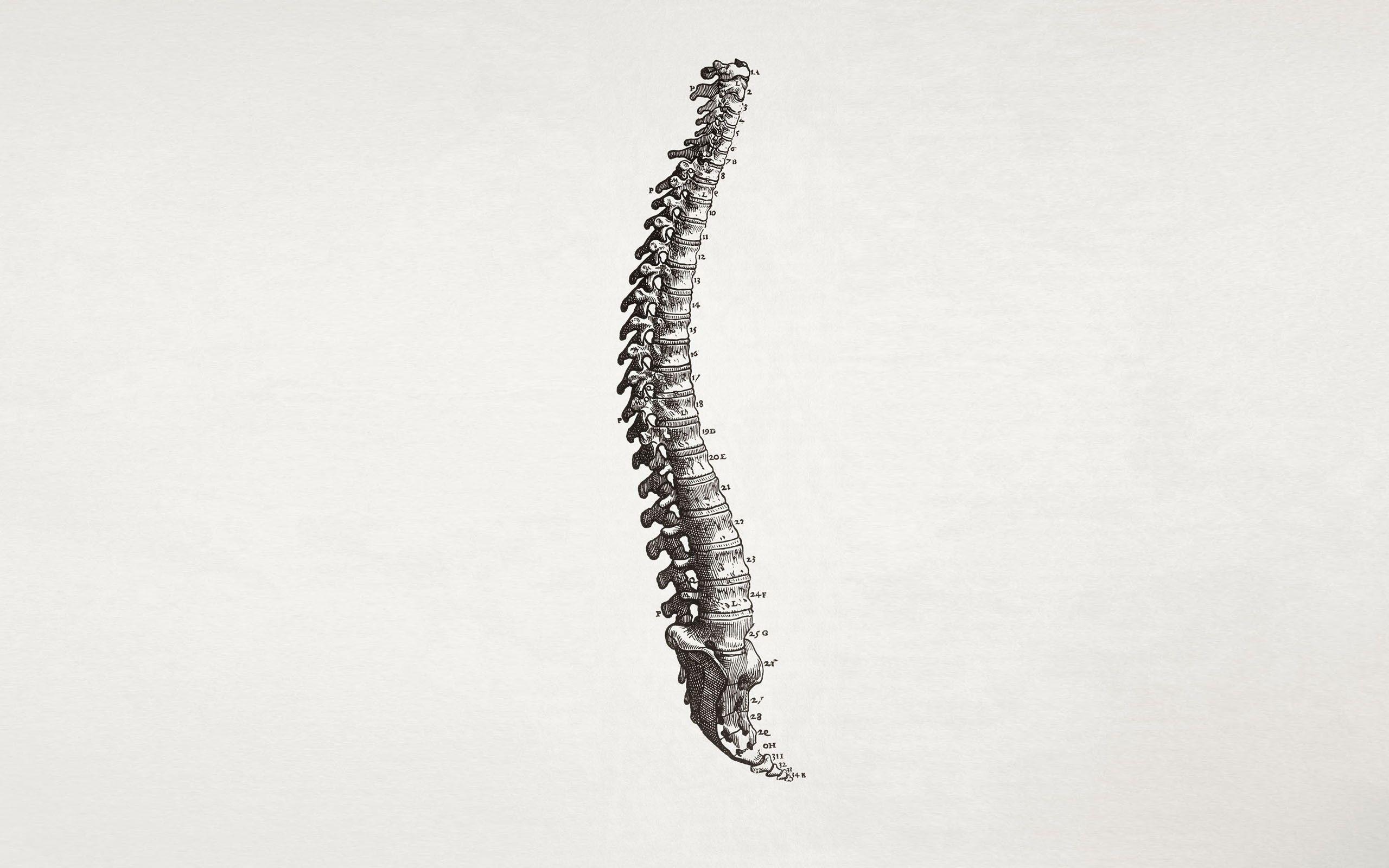 2560x1600 Free download Simple Medical Wallpaper 4k HD Simple Medical Background on [2560x1600] for your Desktop, Mobile & Tablet. Explore Medical Minimalist Wallpaper. Medical Desktop Background, Medical Wallpaper Background, Funny Medical Wallpaper