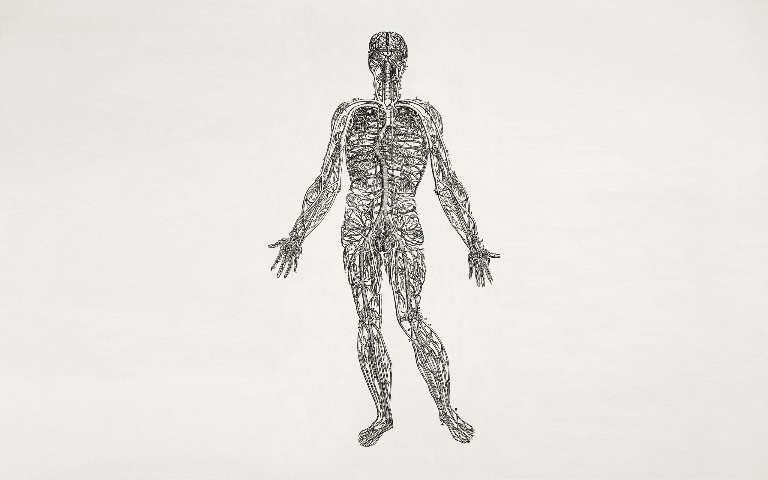2560x1600 Biology Science Medicine Wallpaper:2560x1600
