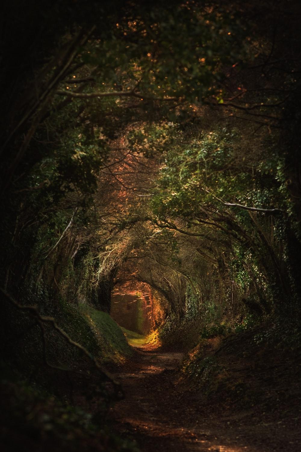 1000x1500 Fantasy Picture. Download Free Image