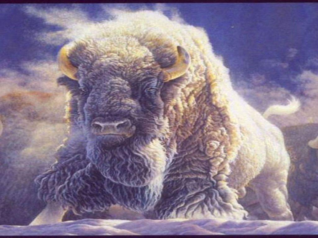 1024x768 White Buffalo