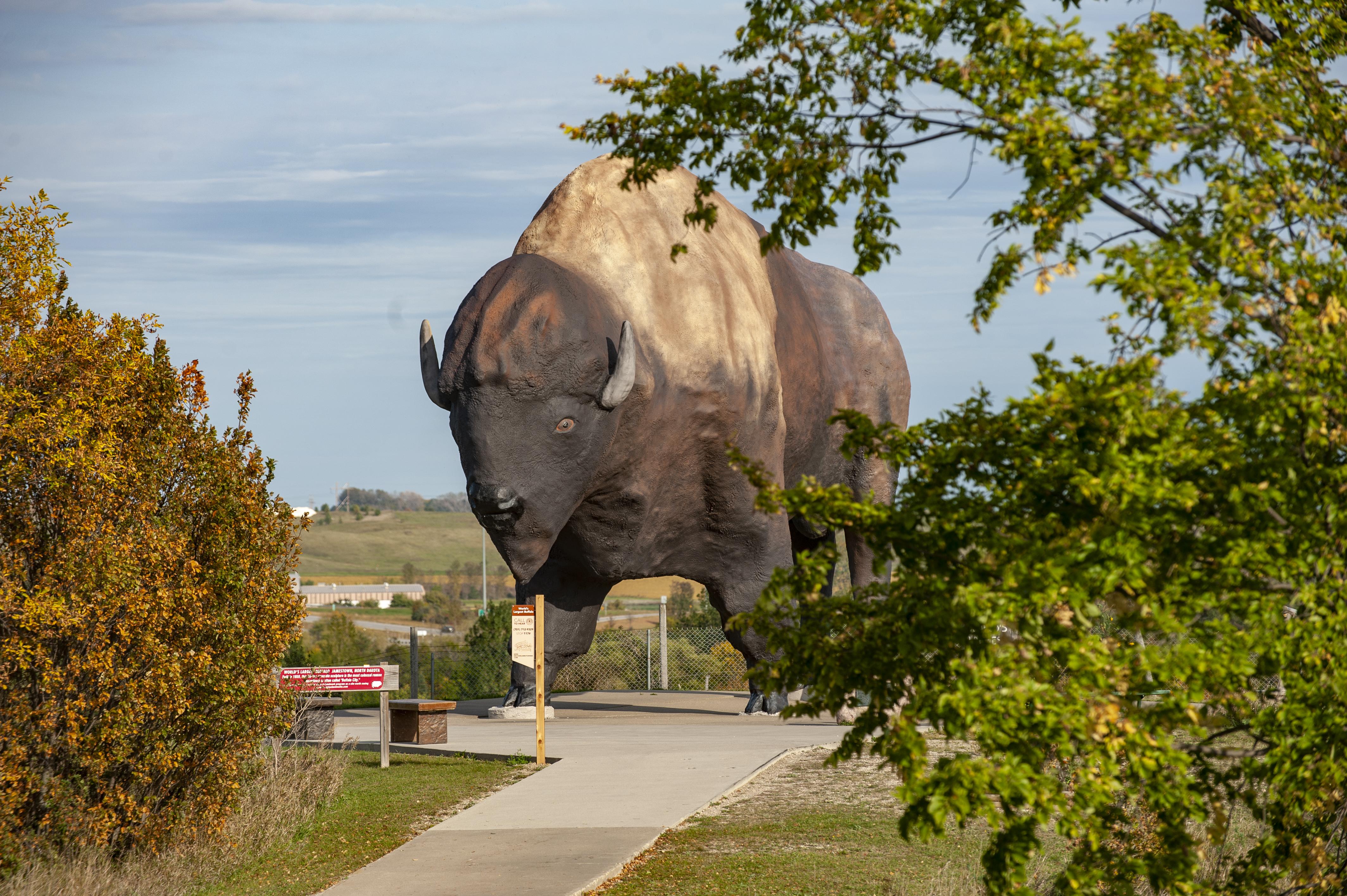 4256x2832 World's Largest Buffalo Monument. Official North Dakota Travel & Tourism Guide